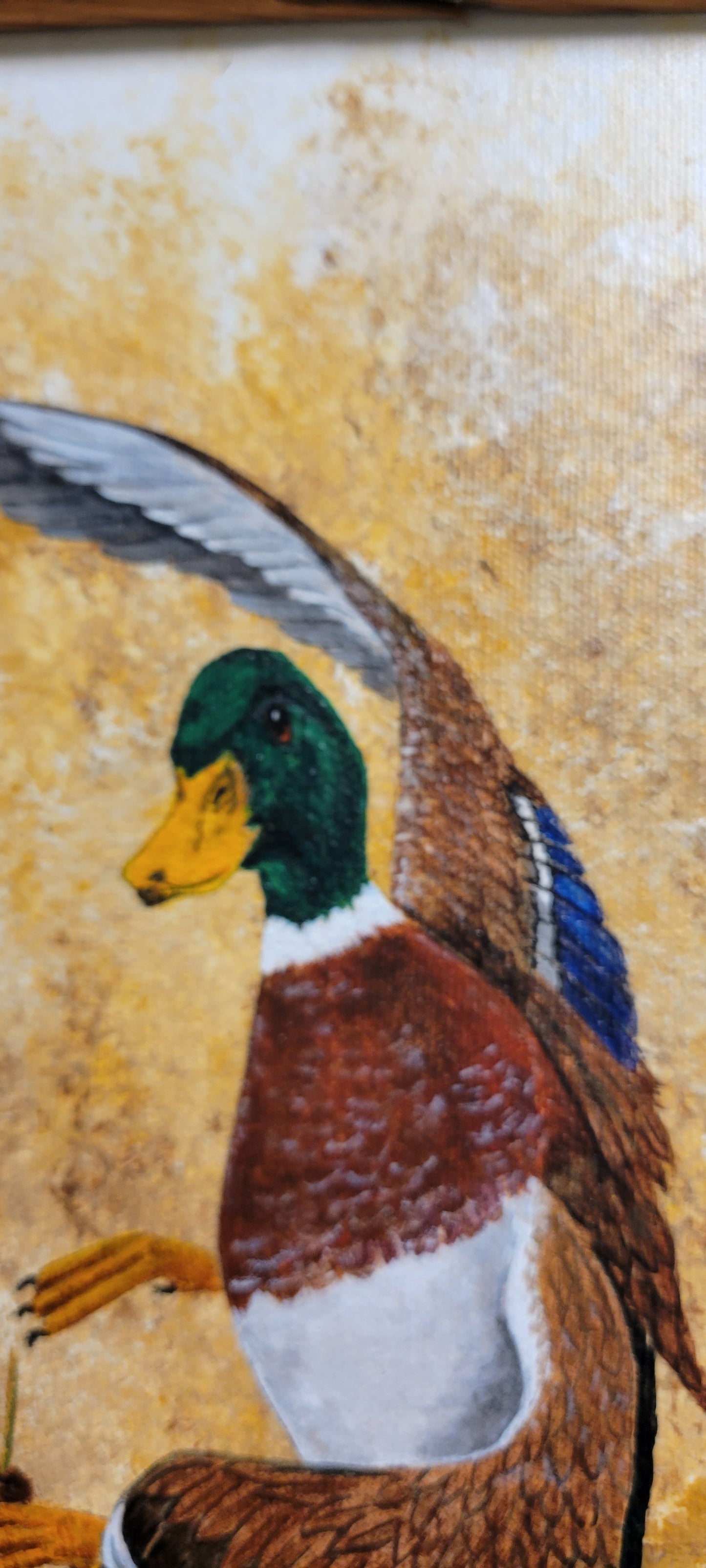 Art Original Mallard Duck Painting Framed in real Barn Wood