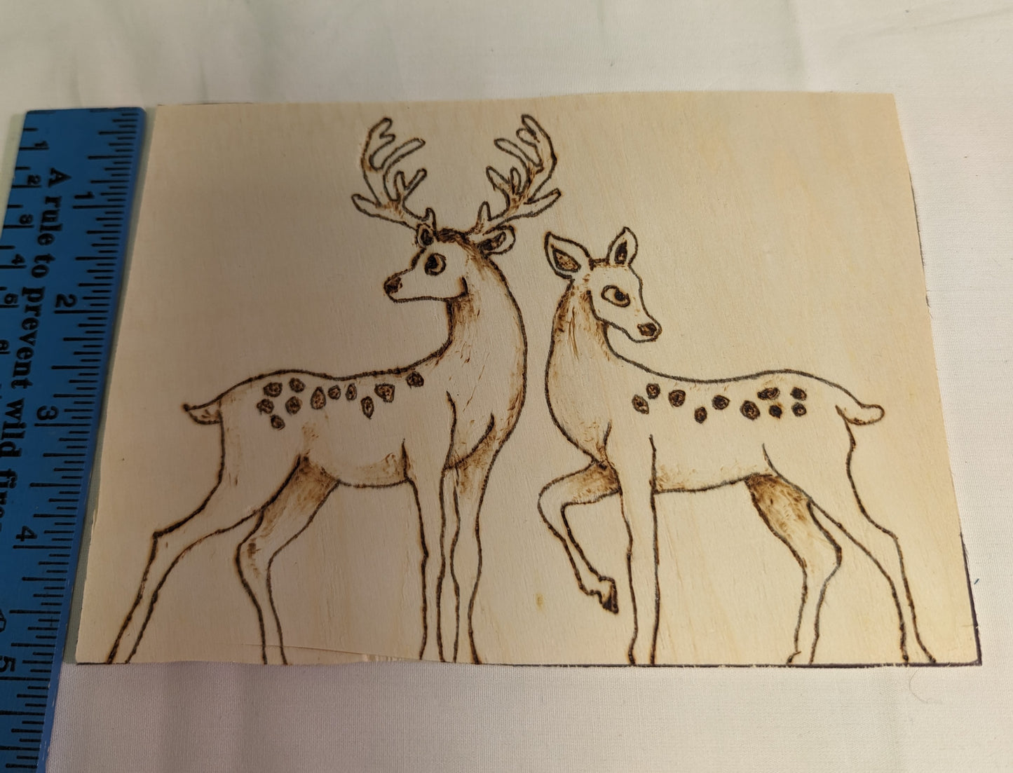 Art Pyrography on wood Deer Original One of a kind