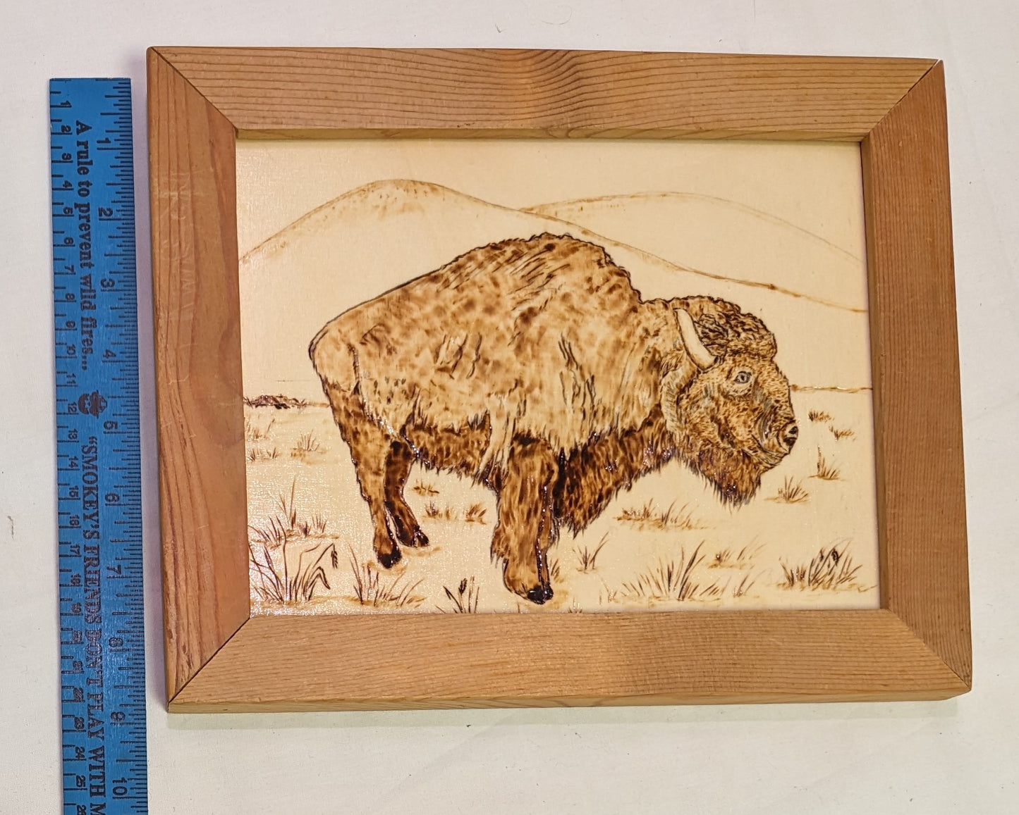 Art Pyrography on Wood Burned by hand Buffalo on Prairie in Frame