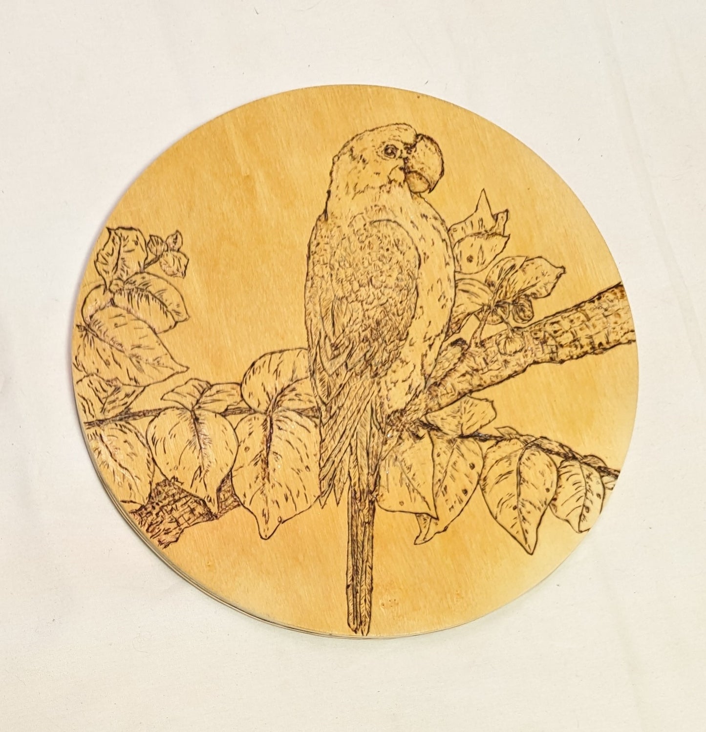 Art Pyrography "Macaw" on Round Wood with Credits Rare Bird.