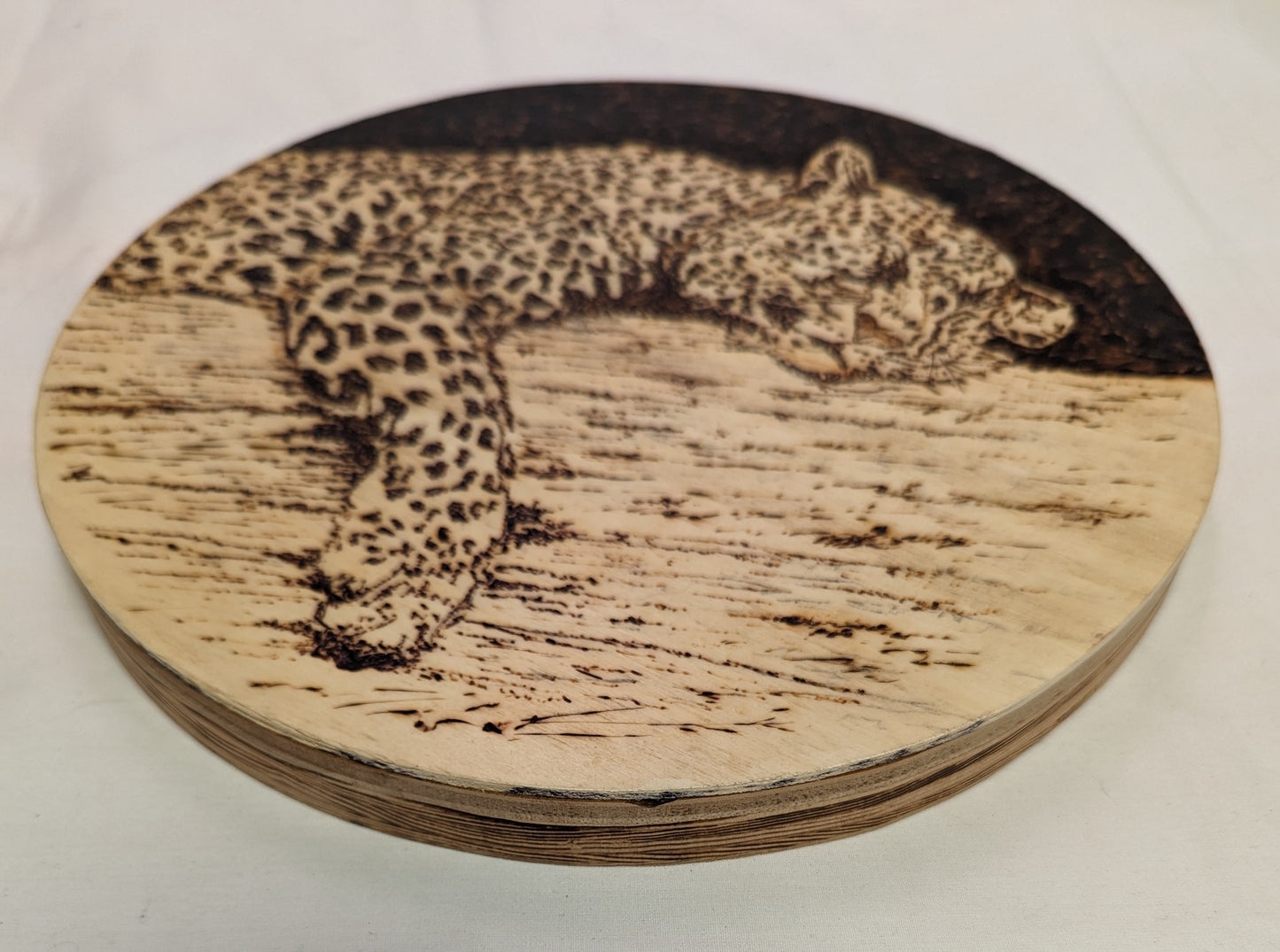Art Pyrography on Heavy Recycled Round Plywood " Sleeping Leopard "