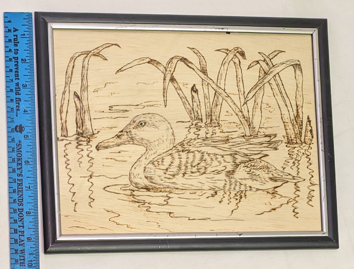 Art Pyrography on wood "Duck Swimming" in frame under glass
