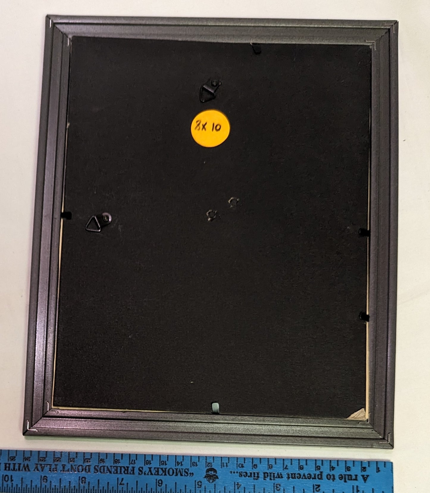 Art Pyrography on colored wood Red Squirrel with pine cone in frame under glass