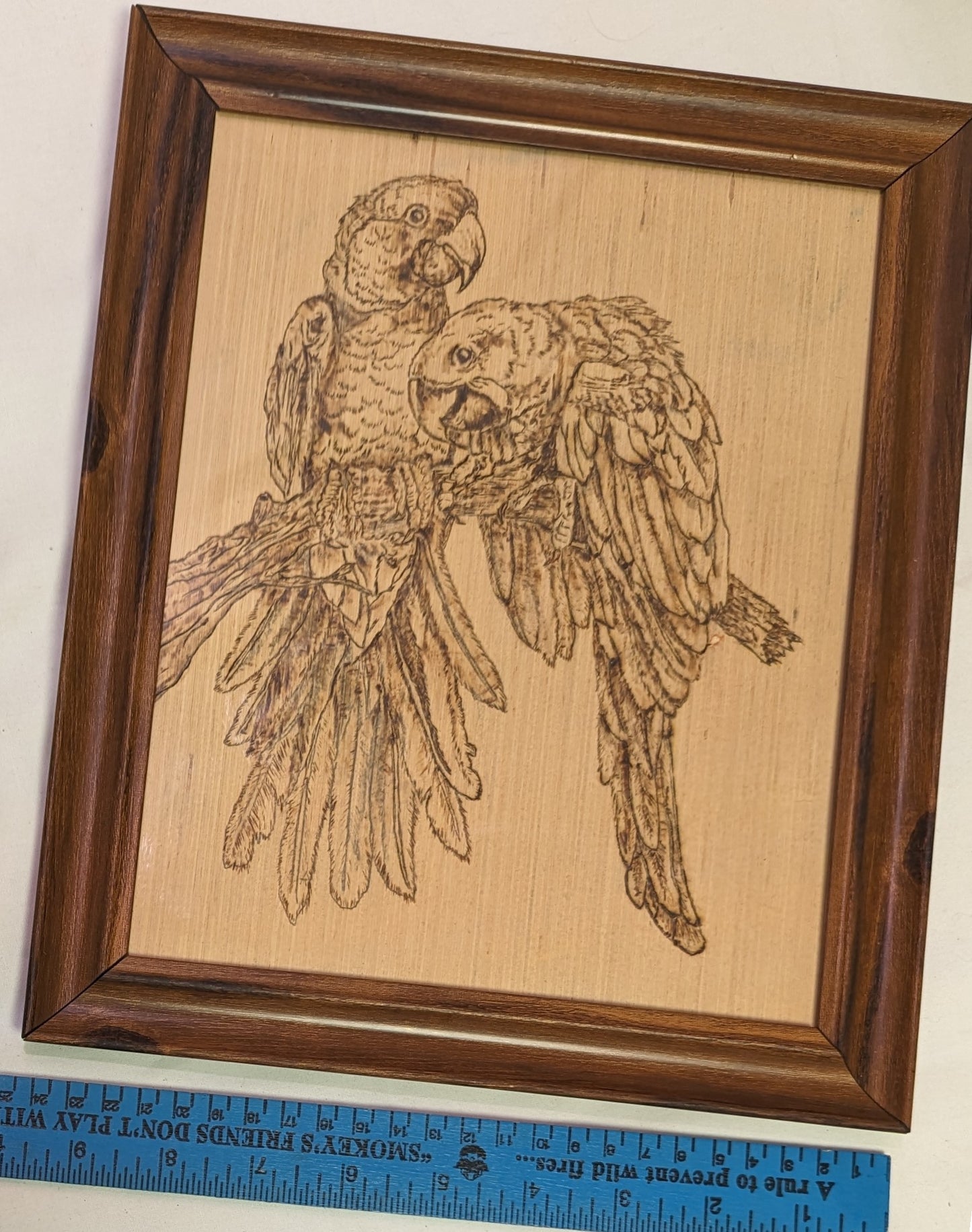 Art Pyrography on wood Maccaws on branch " in frame under glass