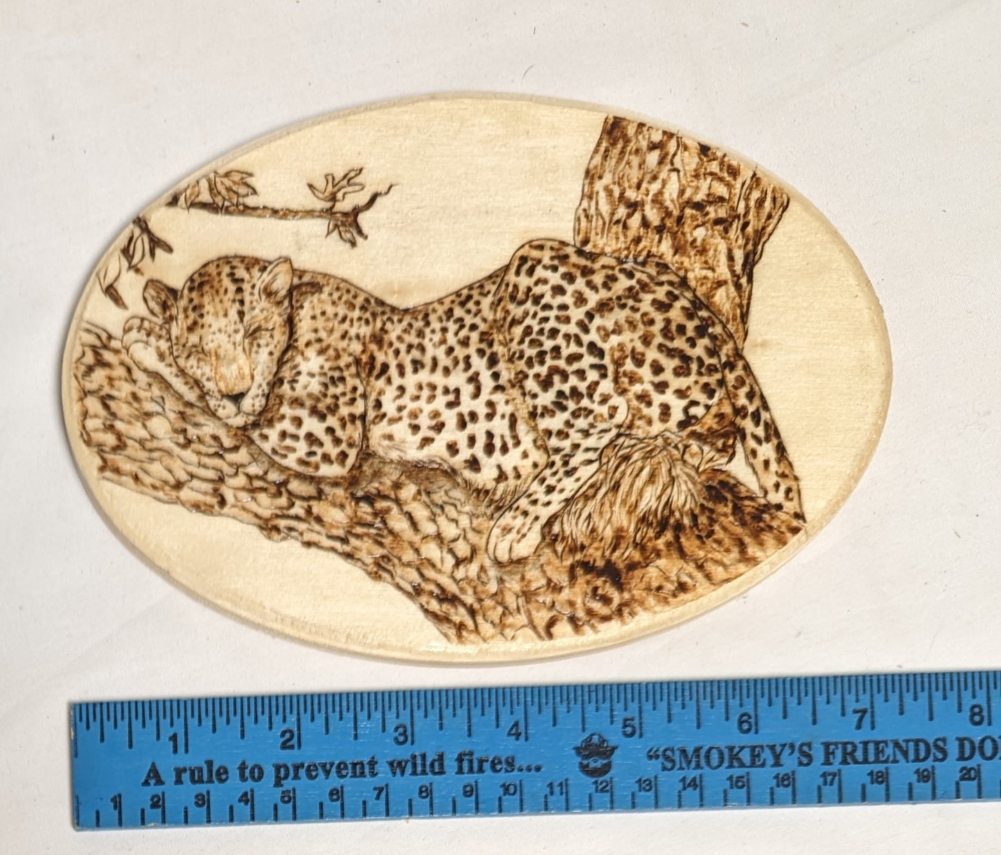 Art Hand Pyrography on wood "Leopard Snoozing" Credited and autographed