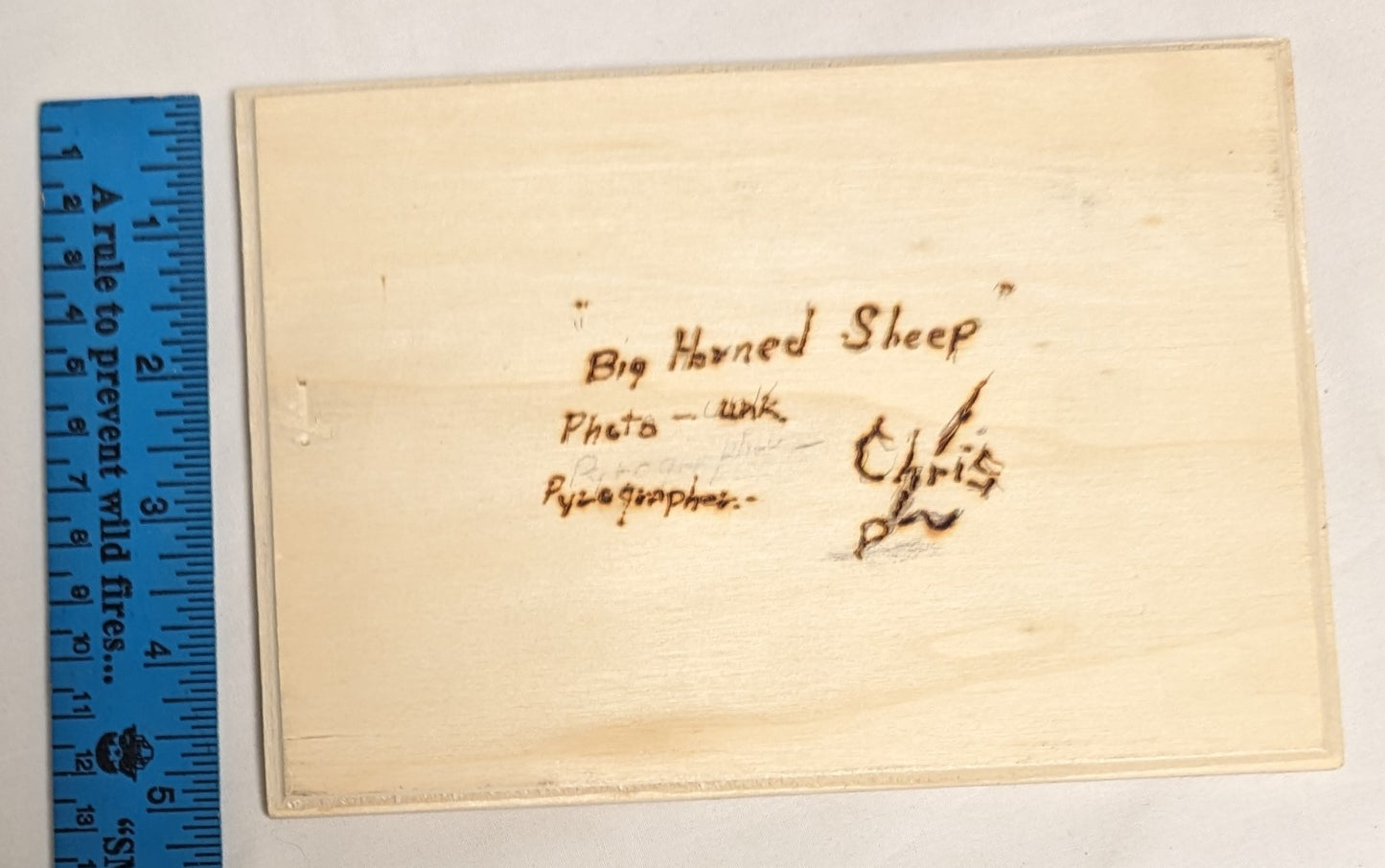 Art Handmade Pyrography on wood " Big Horned Sheep" Signed