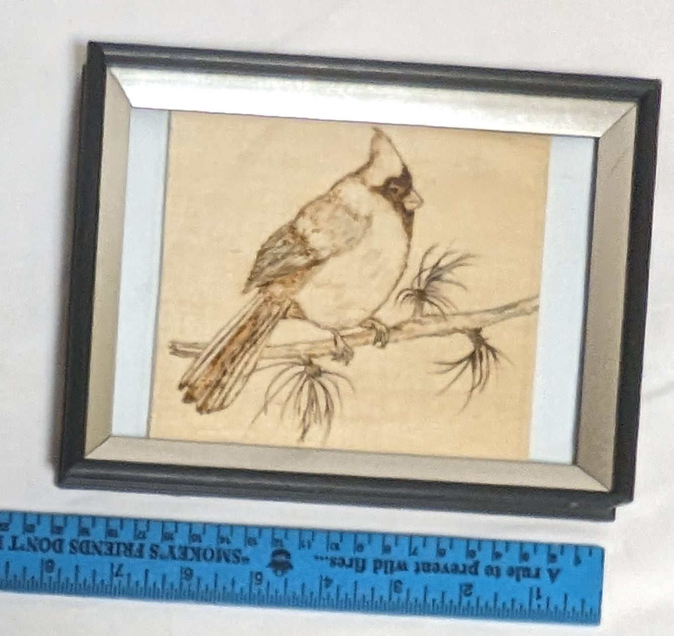 Art Pyrography on wood Cardinal on limb in Frame