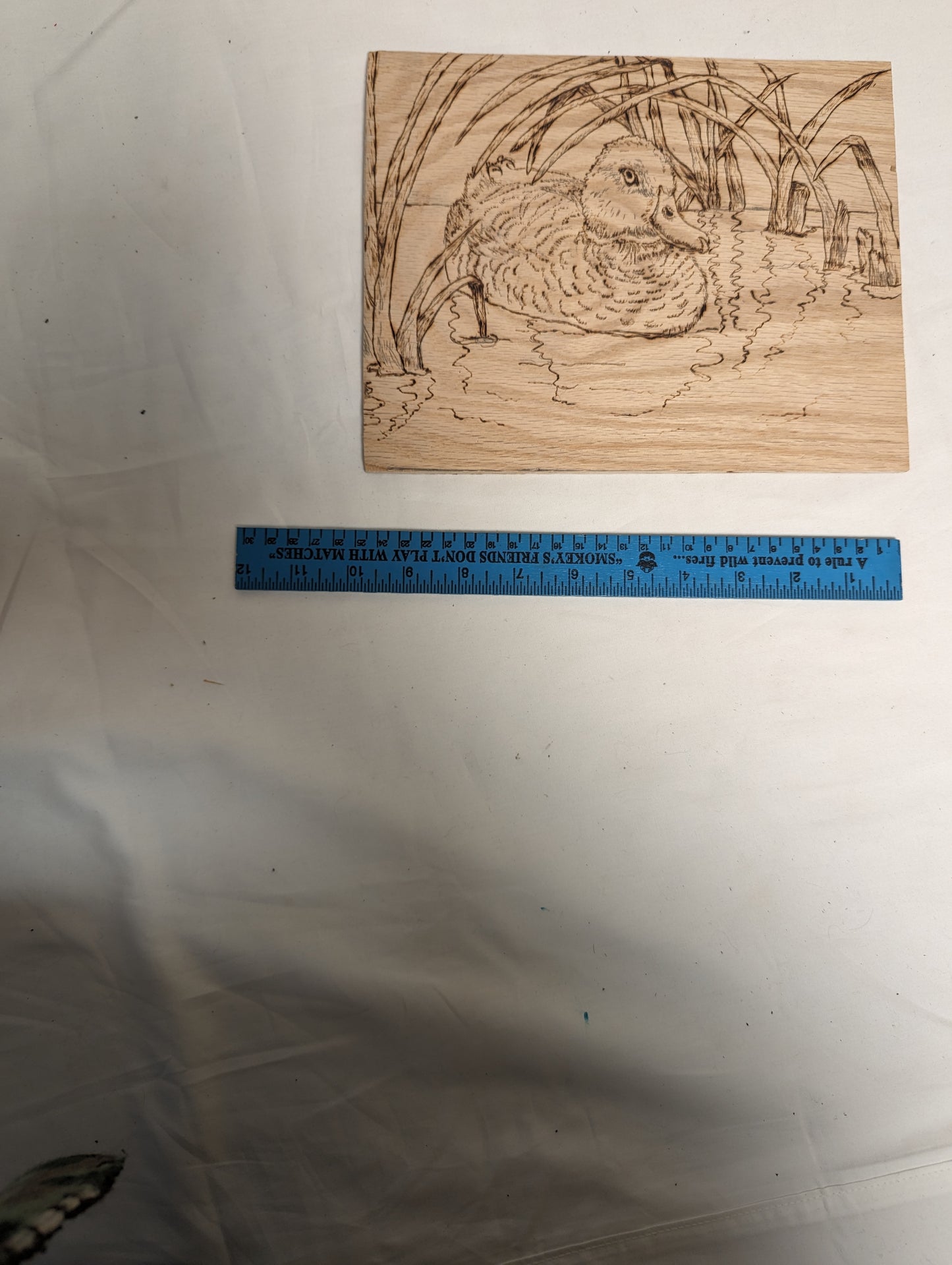 Art Handmade Pyrography on wood "Duck In Cattails"