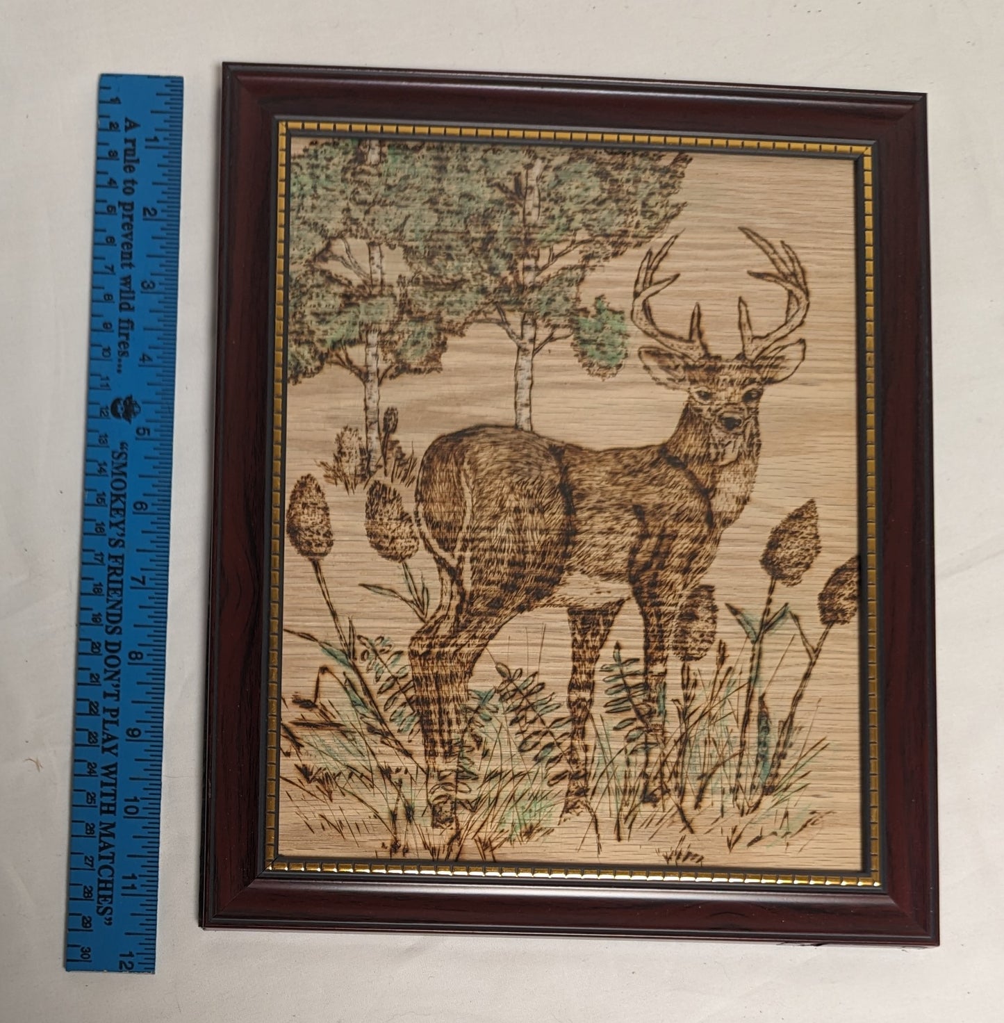 Art Handmade Pyrography on wood " Buck in Forrest" in frame under glass