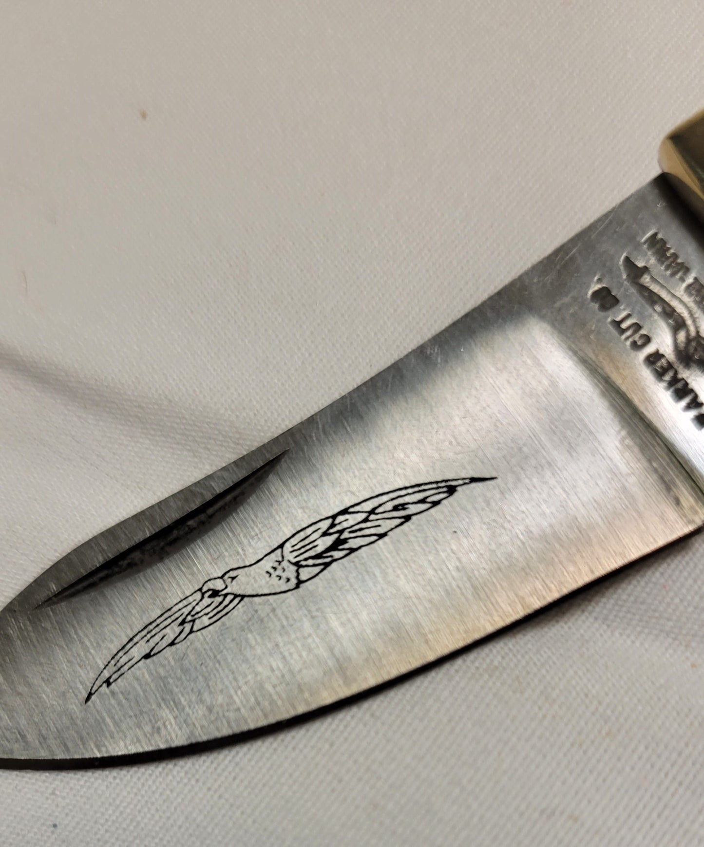 Pocket Knife New with Box Eagle Brand Blade Engraved, Genuine Stag Horn Handle