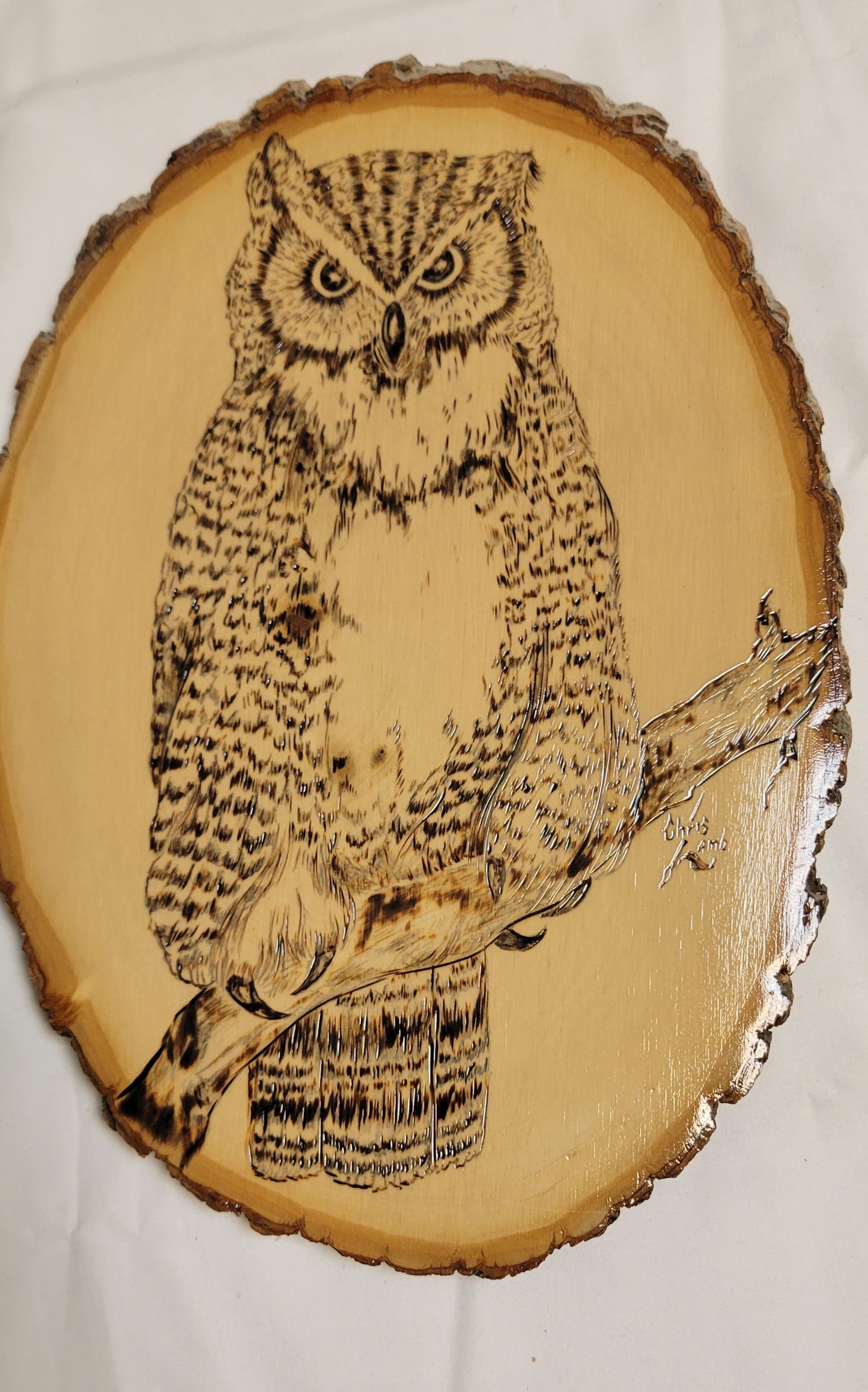 Art Pyrography  Horned Owl Original Art Work on Live edge wood slice