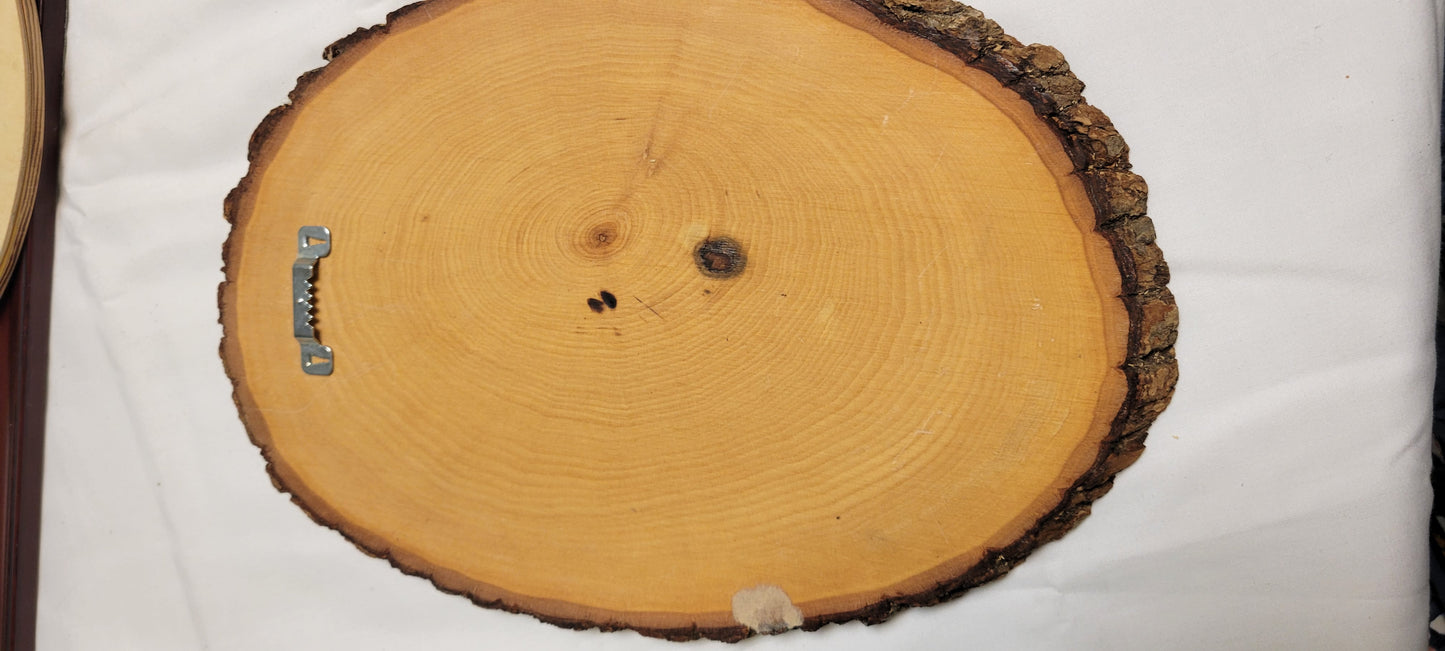 Art Pyrography  Horned Owl Original Art Work on Live edge wood slice