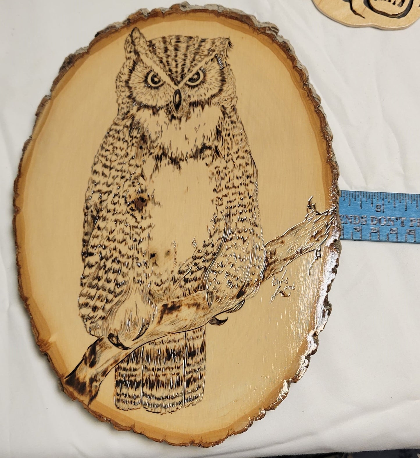 Art Pyrography  Horned Owl Original Art Work on Live edge wood slice