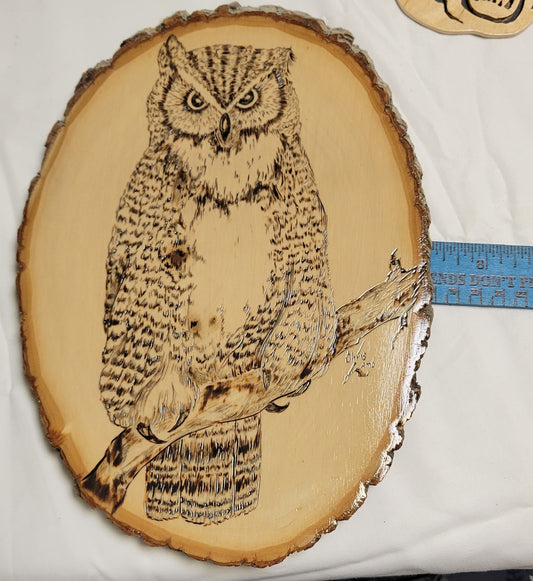 Art Pyrography  Horned Owl Original Art Work on Live edge wood slice