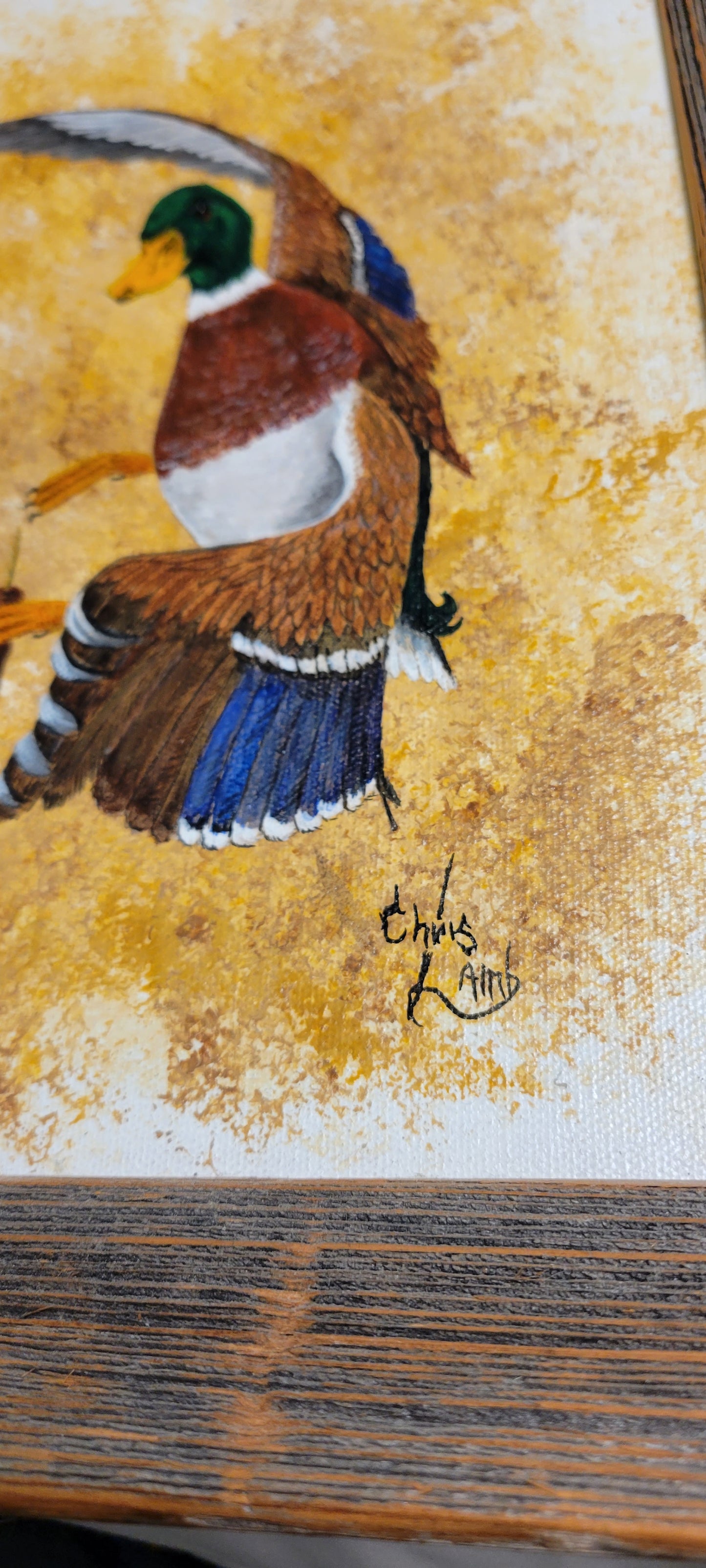 Art Original Mallard Duck Painting Framed in real Barn Wood