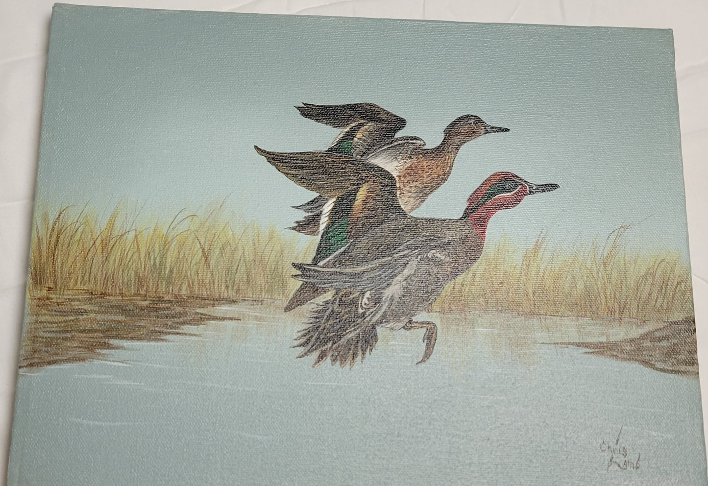 Art Painted Acrylic Ducks Flying over water