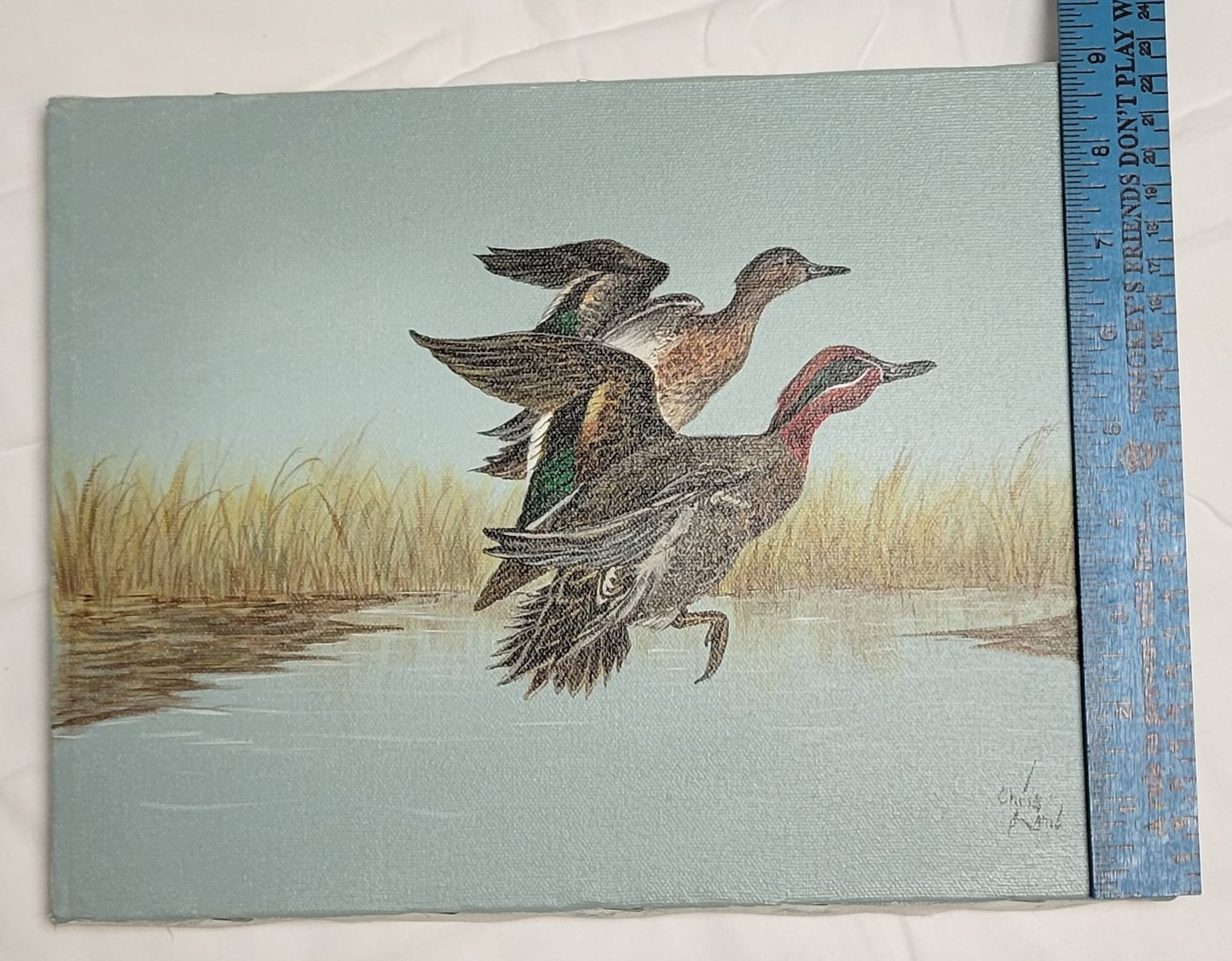 Art Painted Acrylic Ducks Flying over water