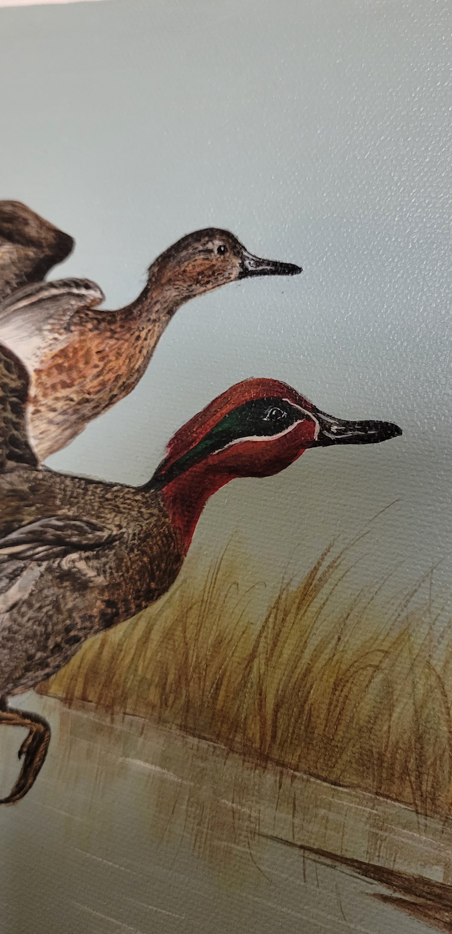 Art Painted Acrylic Ducks Flying over water