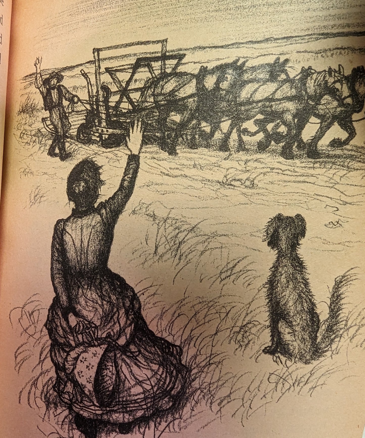 Paperback Vintage Book Set Laura Ingalls Wilder Little House Books Set of 9