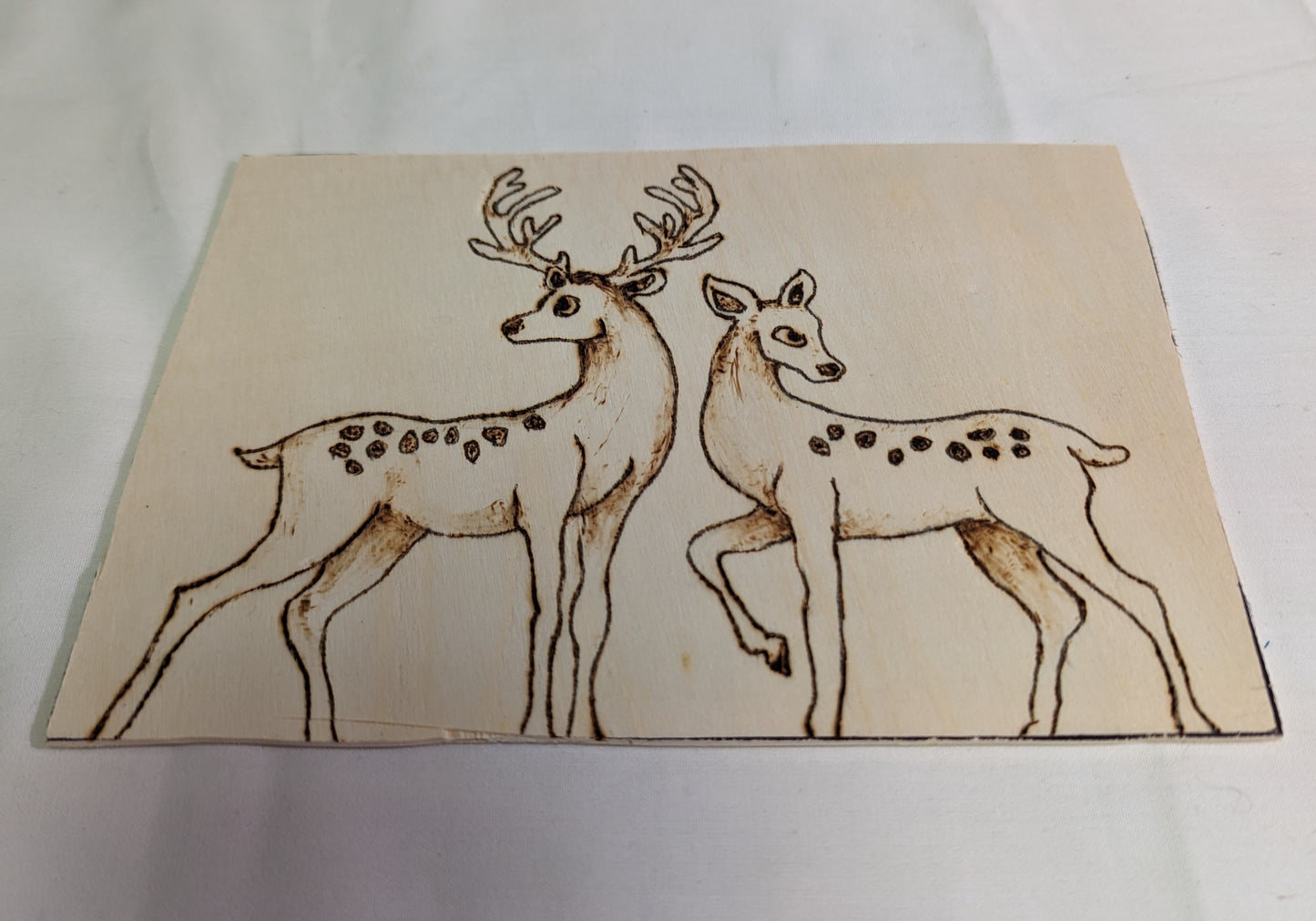 Art Pyrography on wood Deer Original One of a kind