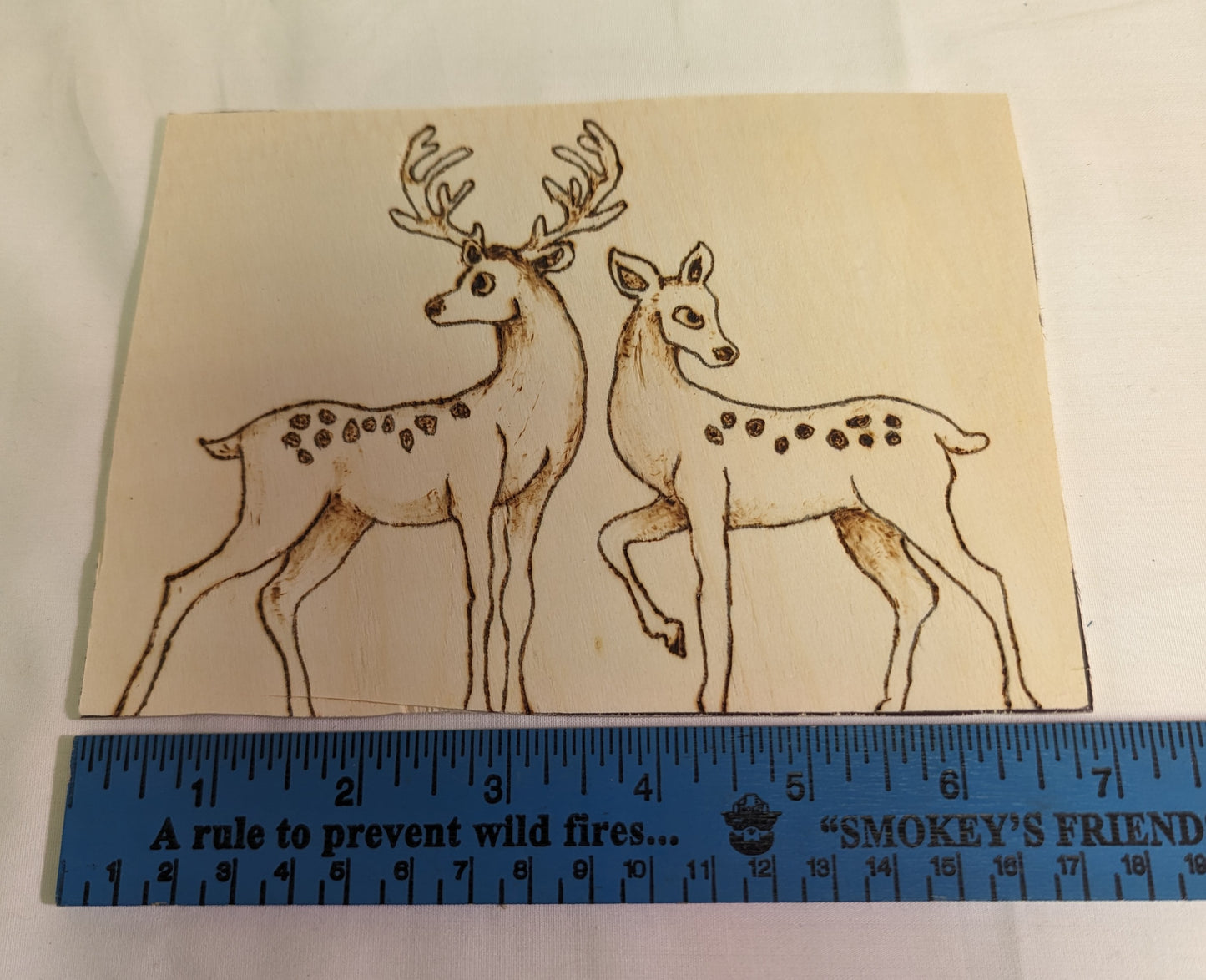 Art Pyrography on wood Deer Original One of a kind