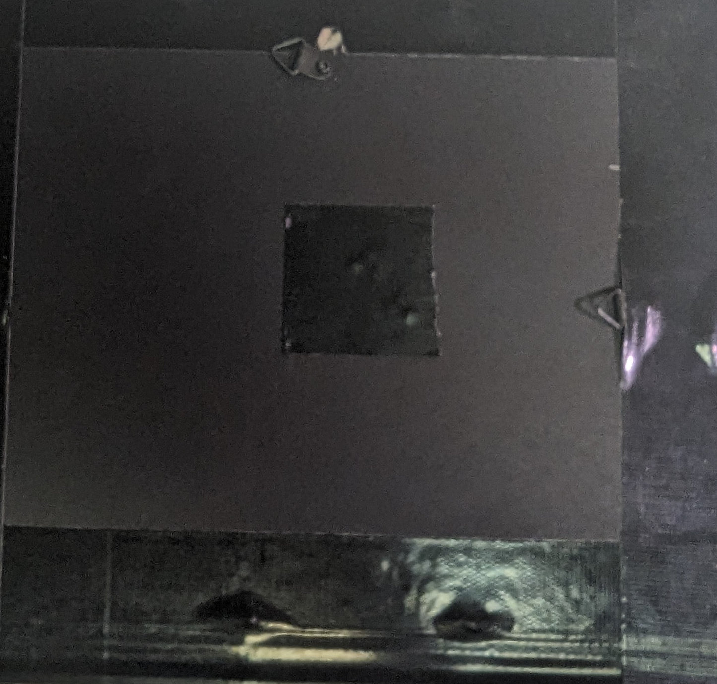 Art Original Pyrography "Little Girl Frightened of Mouse" Emblem on wood in frame behind glass