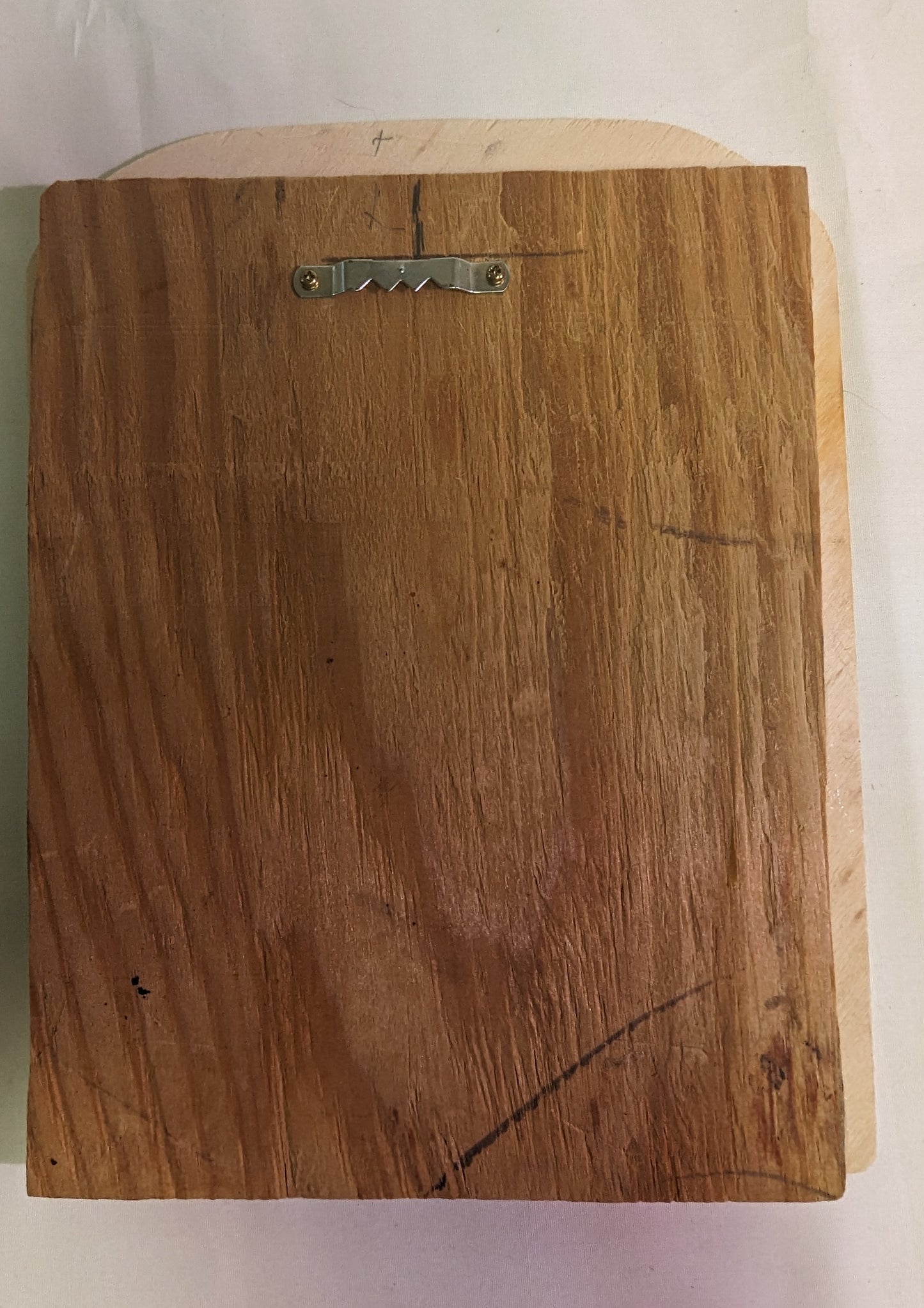 Art Pyrography Original Eagle Head Emblem with Feathers on wood