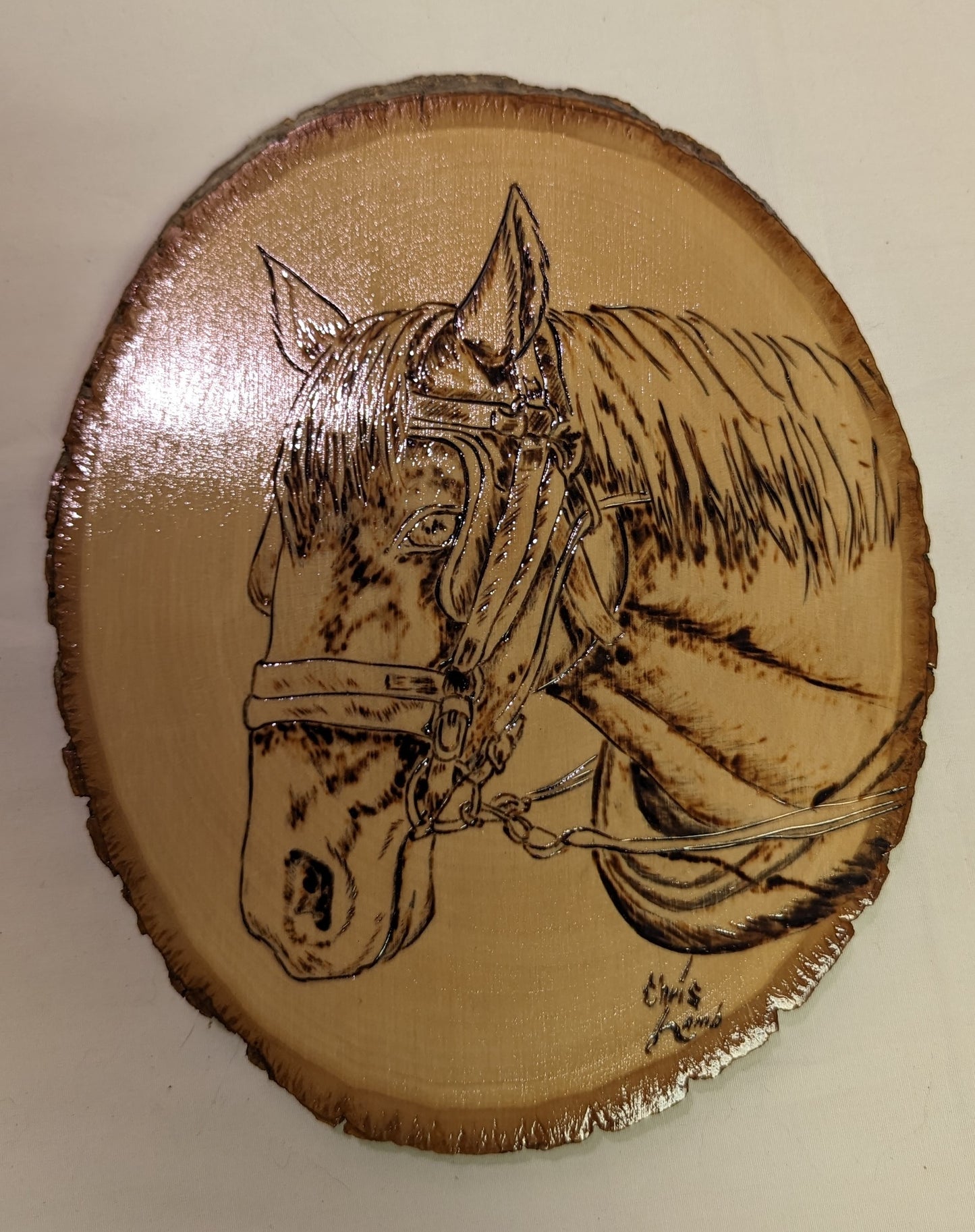 Art Pyrography Horse Head on Live Edge Wood slice Pine Poly Coated