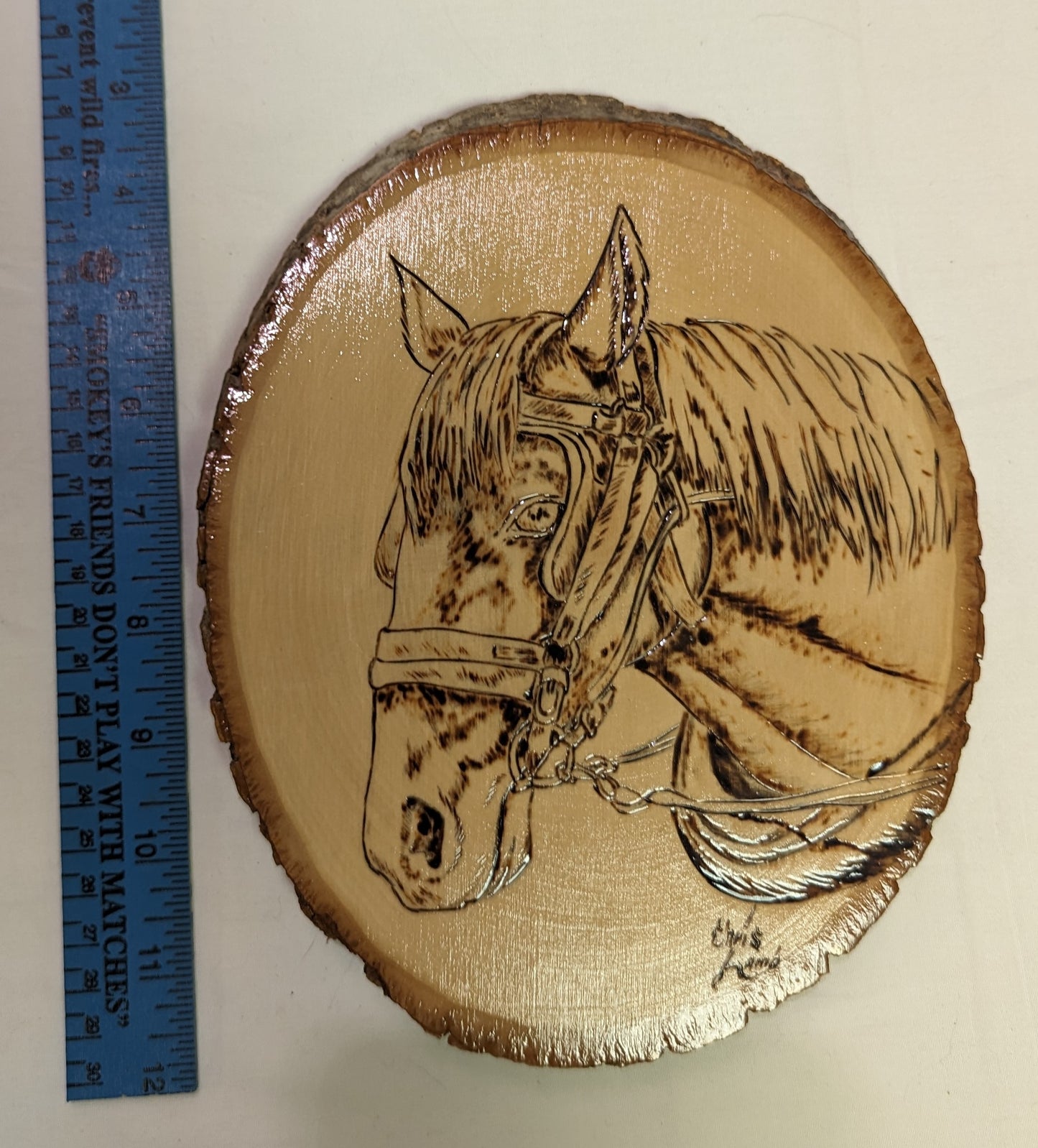 Art Pyrography Horse Head on Live Edge Wood slice Pine Poly Coated