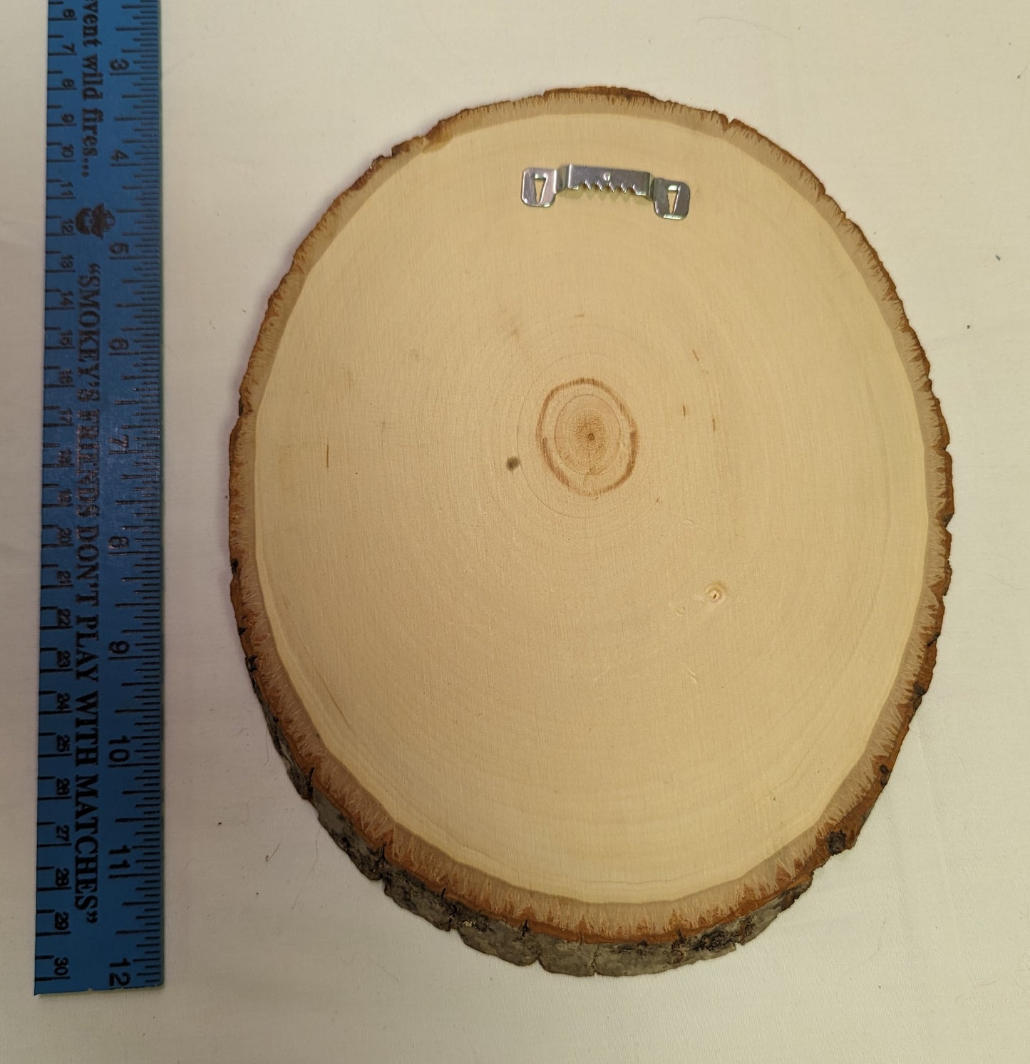 Art Pyrography Horse Head on Live Edge Wood slice Pine Poly Coated