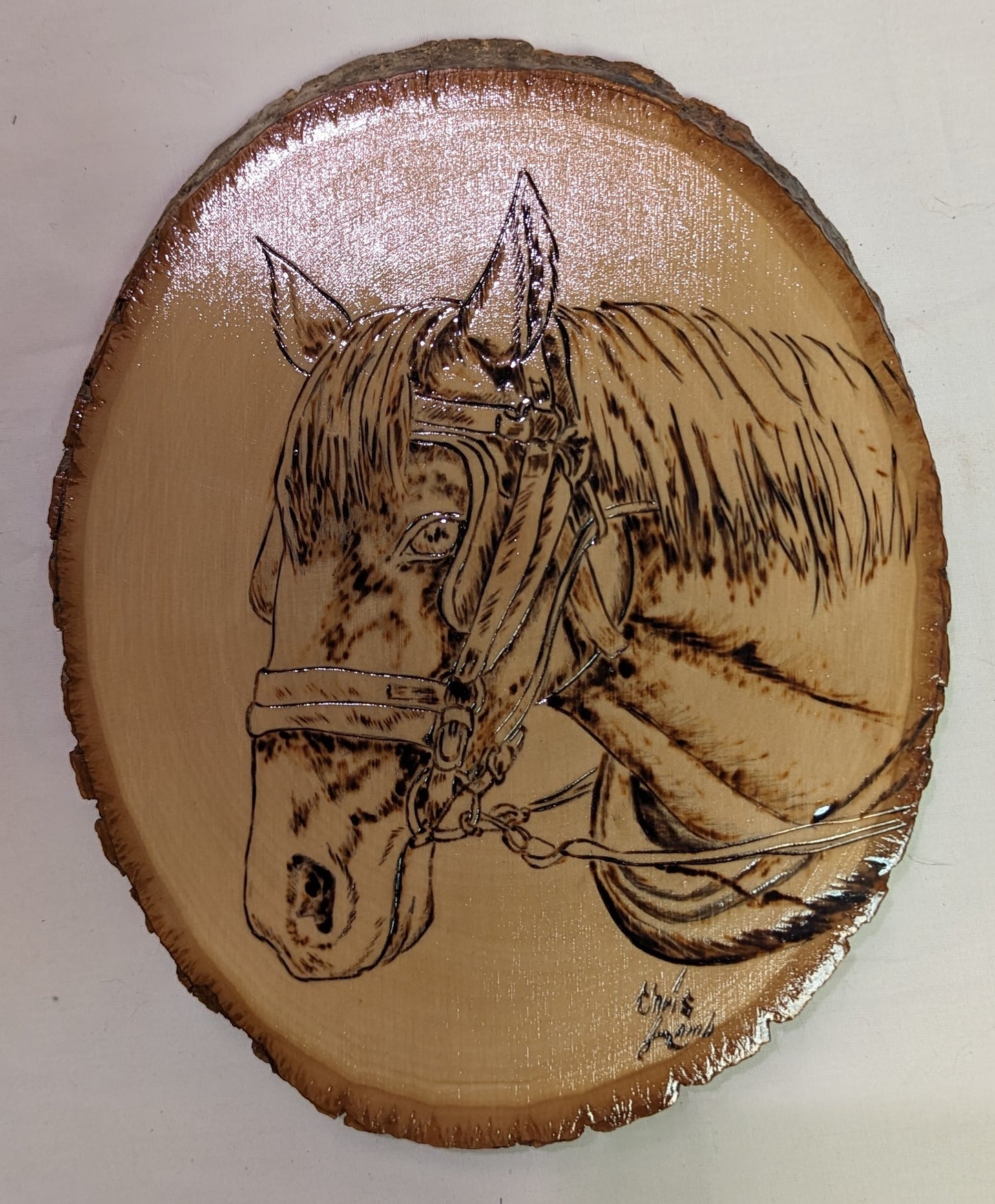 Art Pyrography Horse Head on Live Edge Wood slice Pine Poly Coated