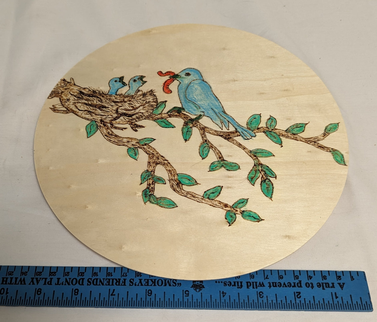 Art Pyrography color filled Bluebird feeding chicks on round wood board