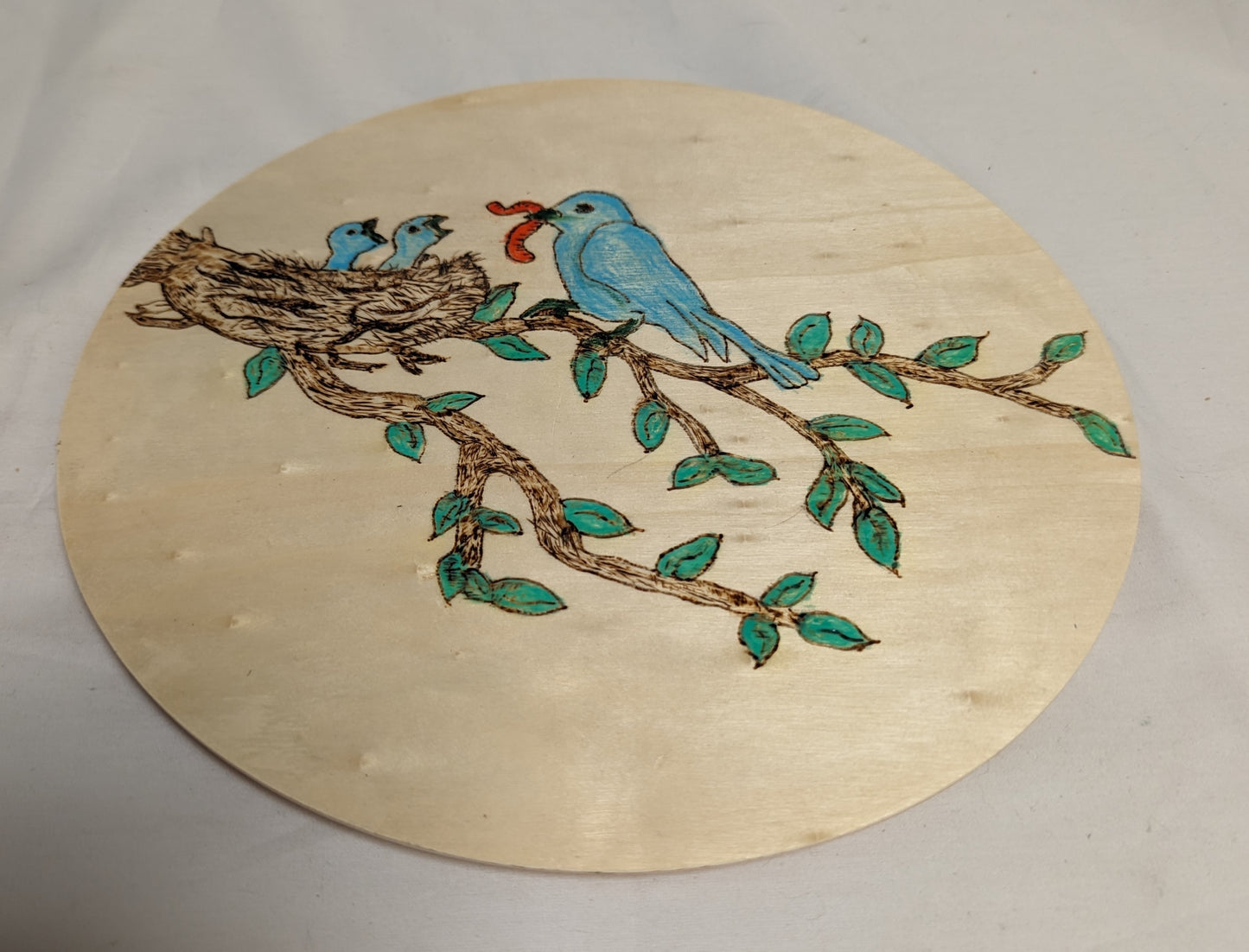 Art Pyrography color filled Bluebird feeding chicks on round wood board