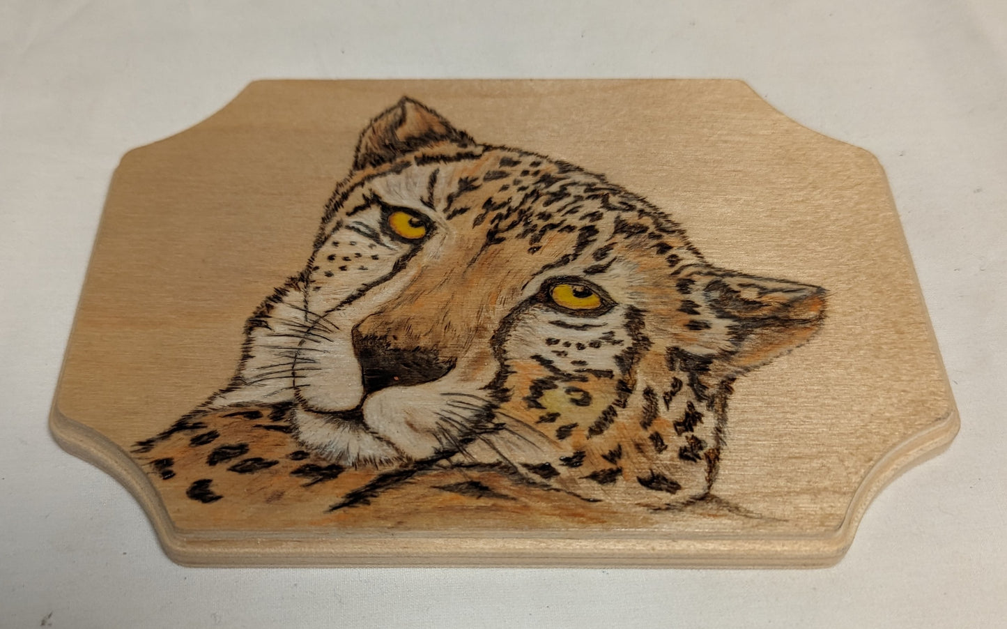Art Pyrography Color Filled Cheetah Head on wood
