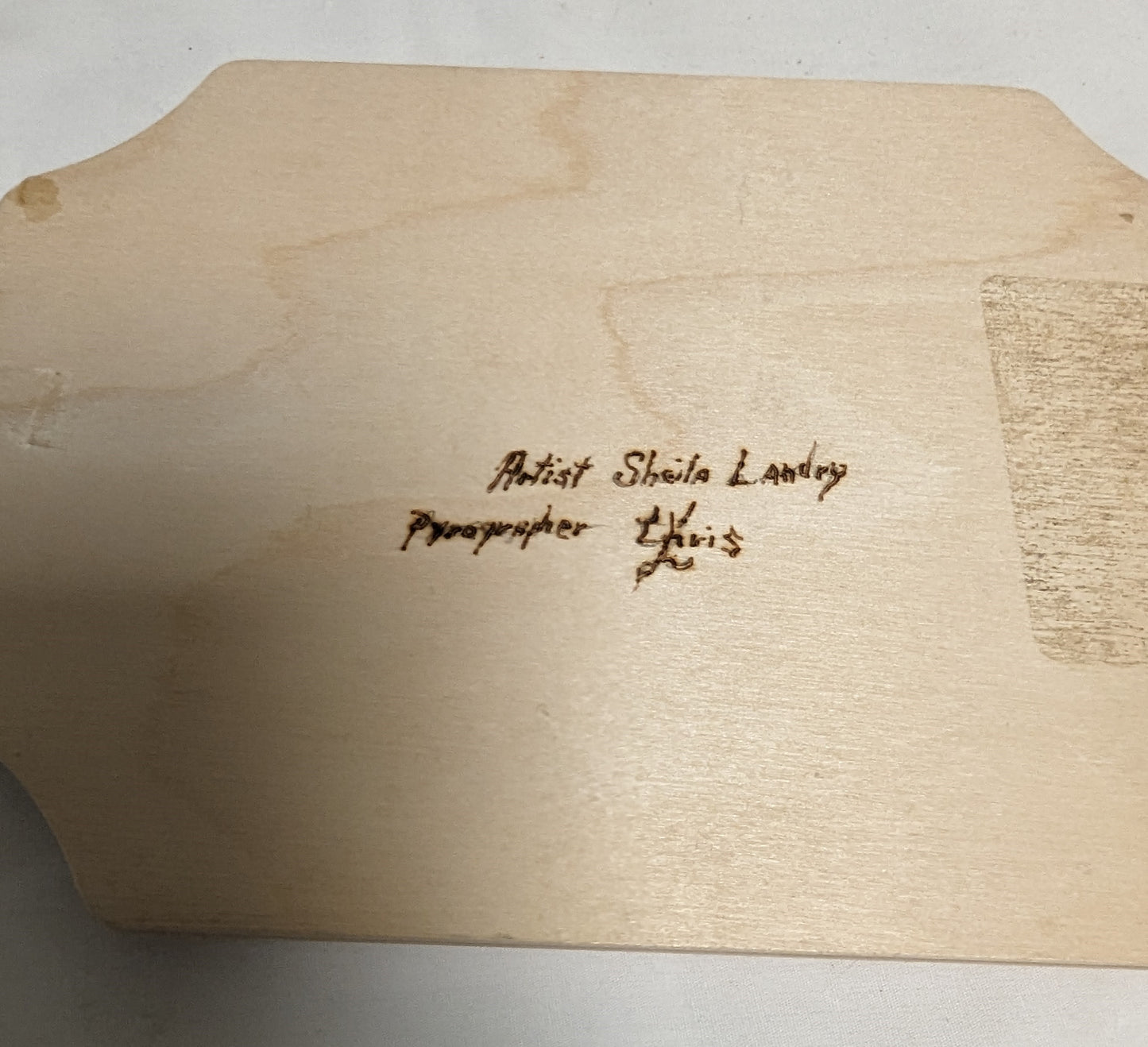 Art Pyrography Color Filled Cheetah Head on wood