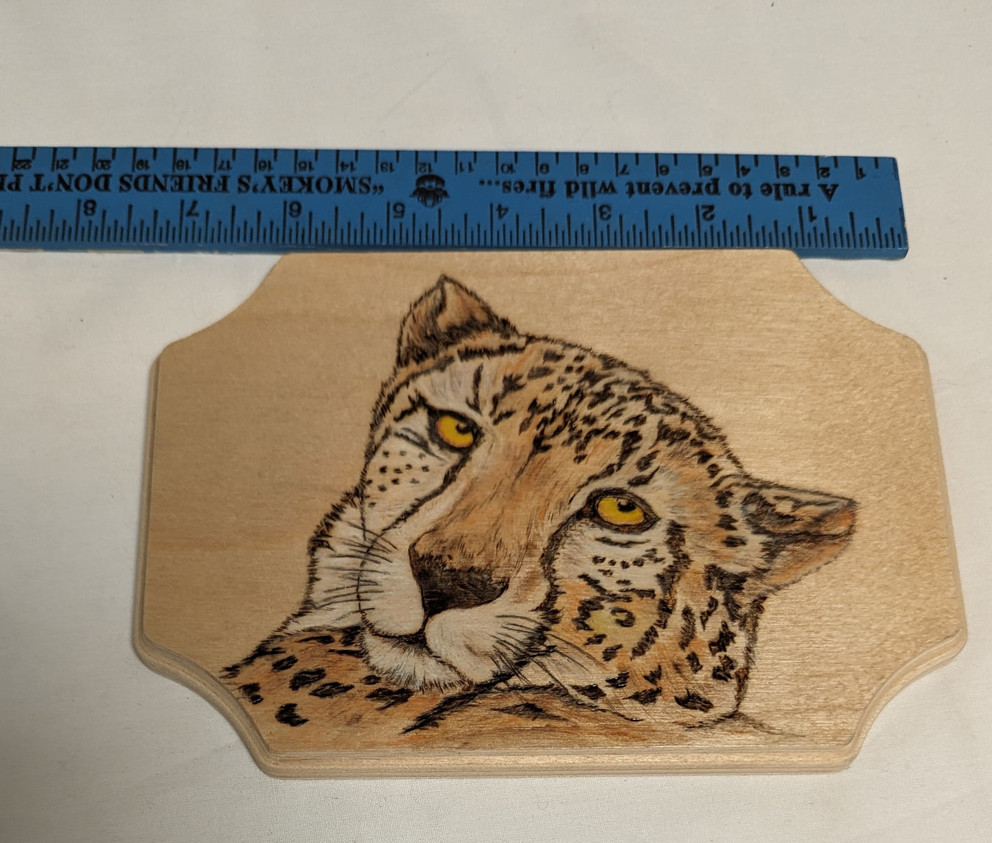 Art Pyrography Color Filled Cheetah Head on wood