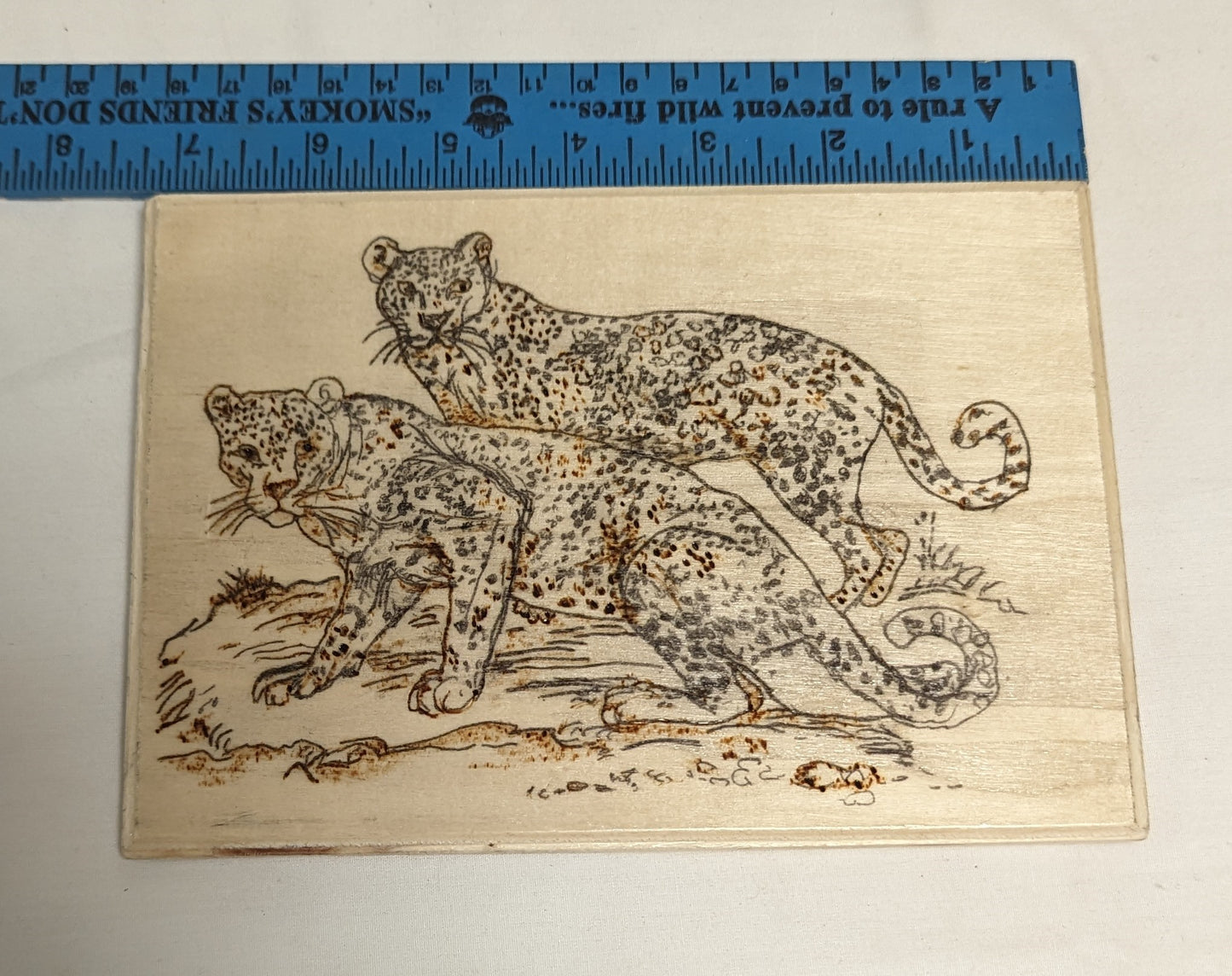 Art Pyrography Two Cheetahs on plywood