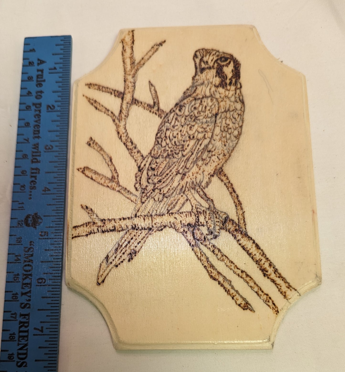 Art Hand Pyrography Hawk on Branch