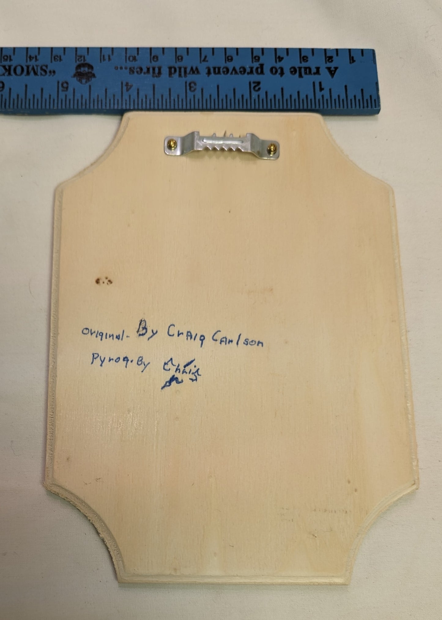 Art Hand Pyrography Hawk on Branch