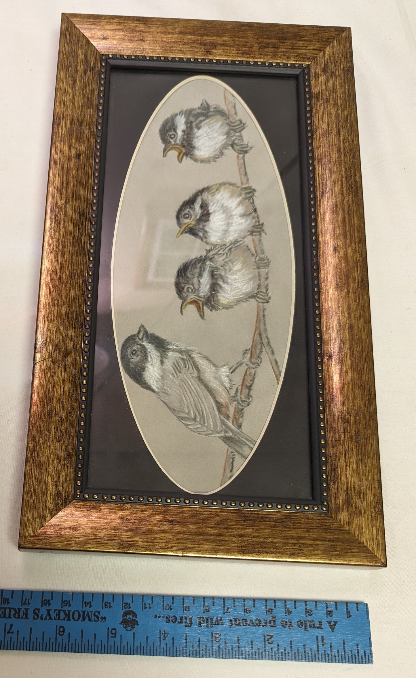 Art Framed Painted Black Capped Chickadee and three Little Chicks on paper