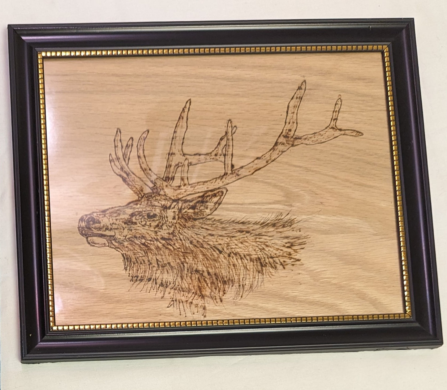 Art Pyrography burned on wood" EAlk Head " in frame under glass Cabin Wall Decor