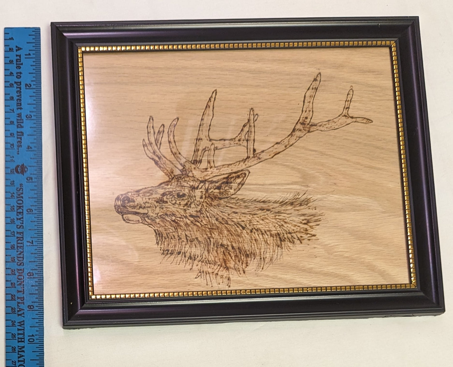 Art Pyrography burned on wood" EAlk Head " in frame under glass Cabin Wall Decor