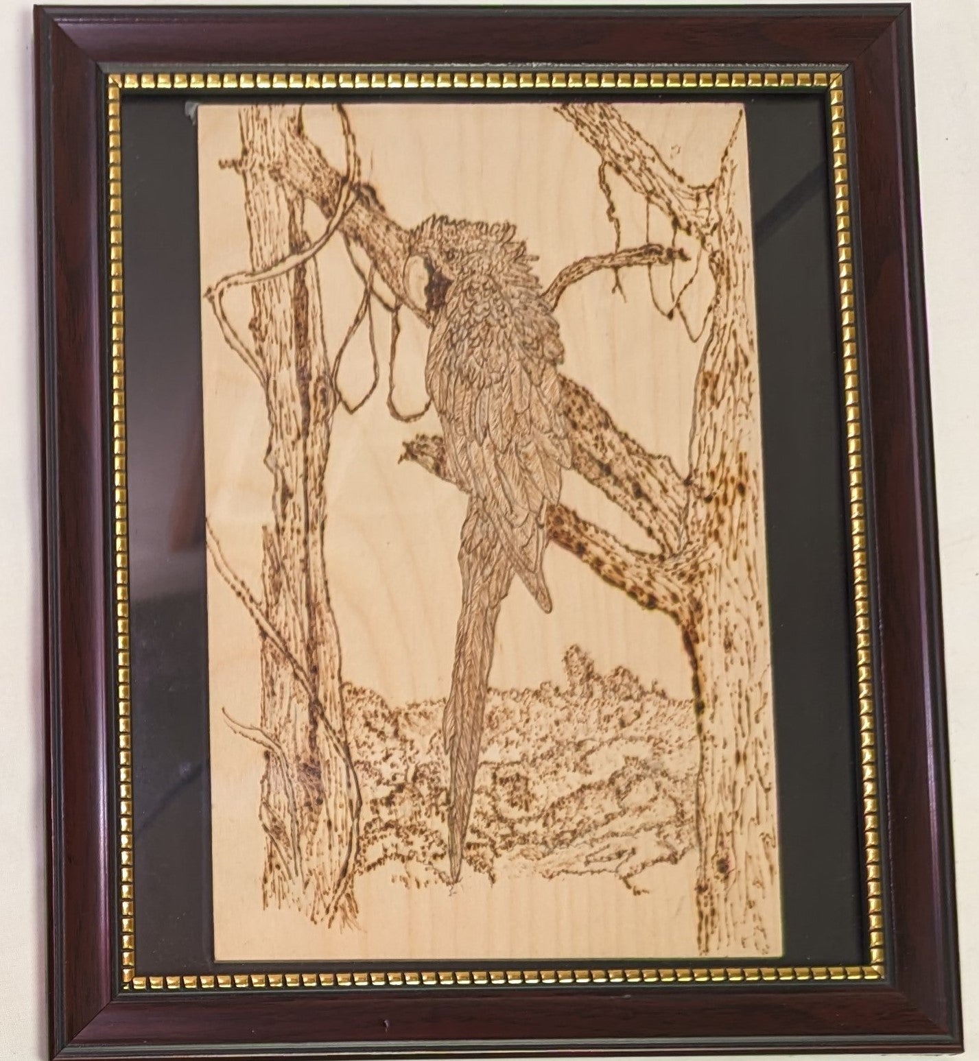 Art Pyrography Parrot in Tree on Wood in Frame