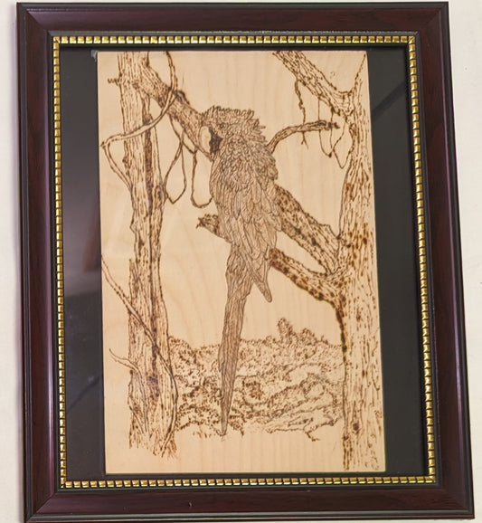Art Pyrography Parrot in Tree on Wood in Frame