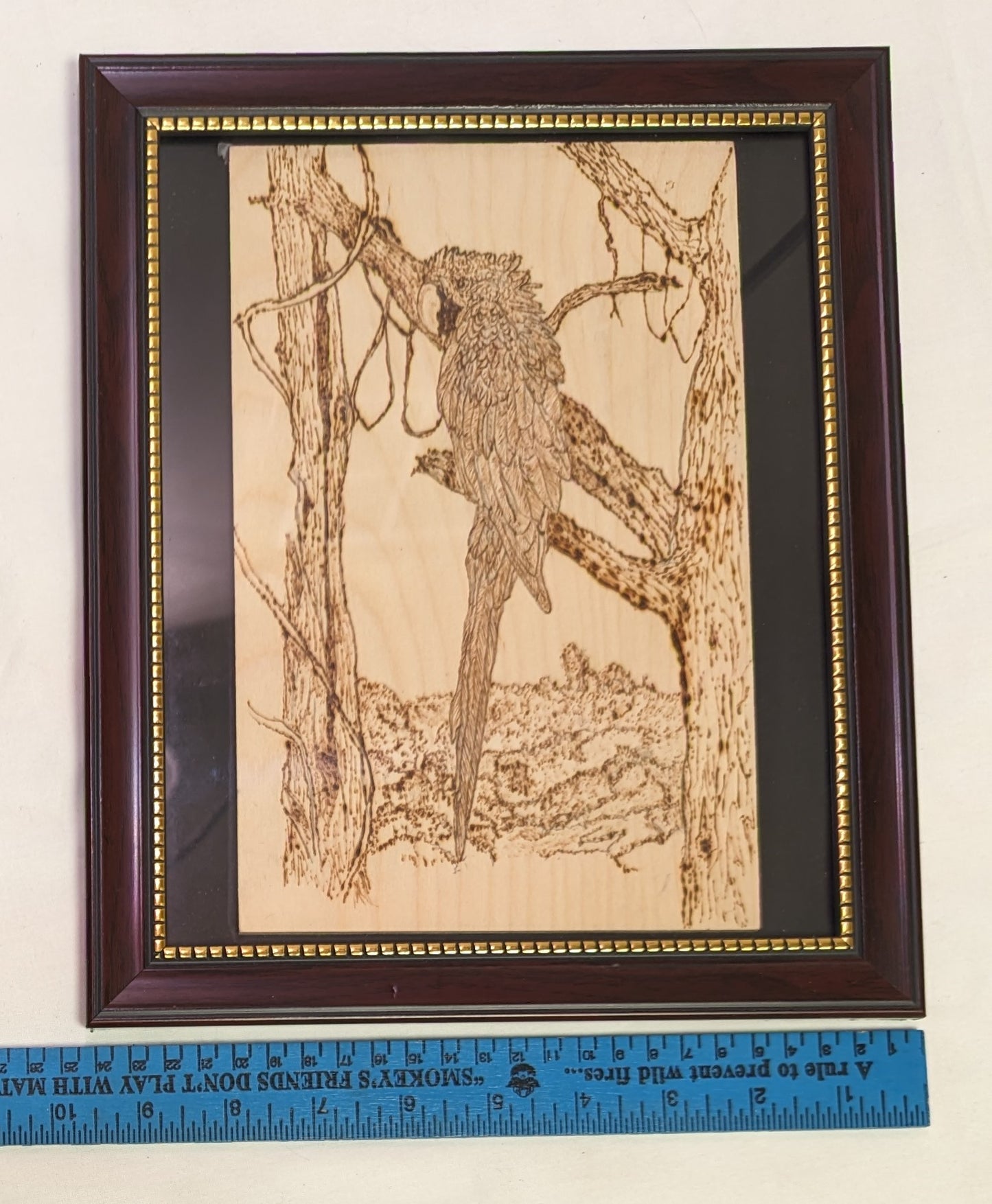 Art Pyrography Parrot in Tree on Wood in Frame