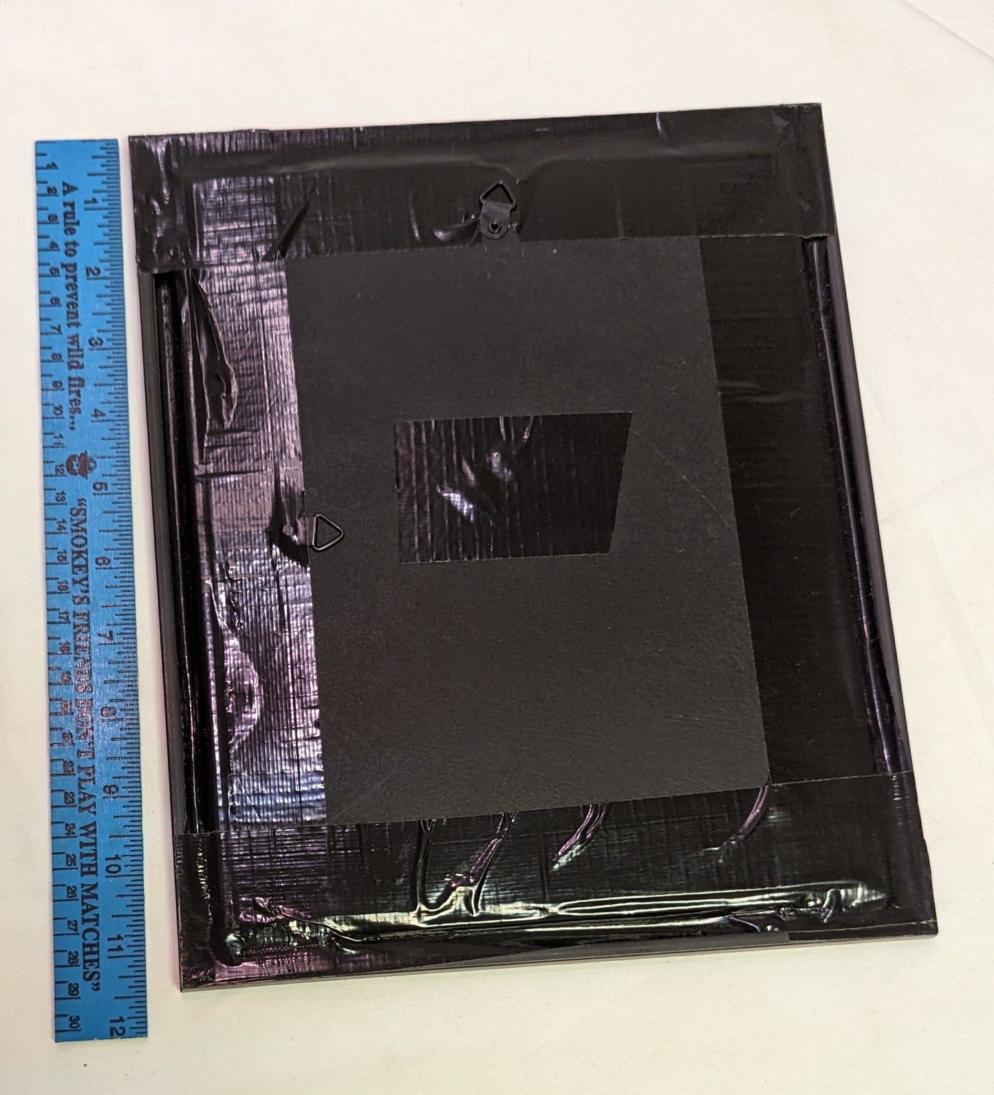 Art Pyrography Parrot in Tree on Wood in Frame