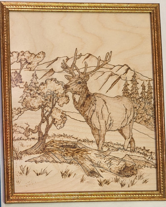 Art Pyrography Elk on Hillside Burned on Wood in frame under glass