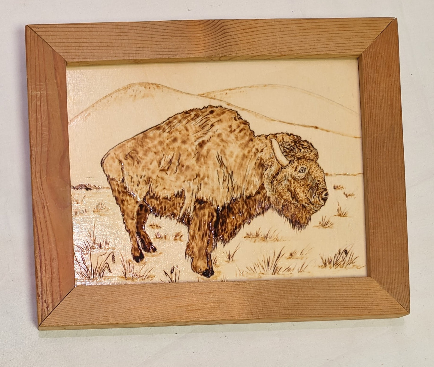 Art Pyrography on Wood Burned by hand Buffalo on Prairie in Frame