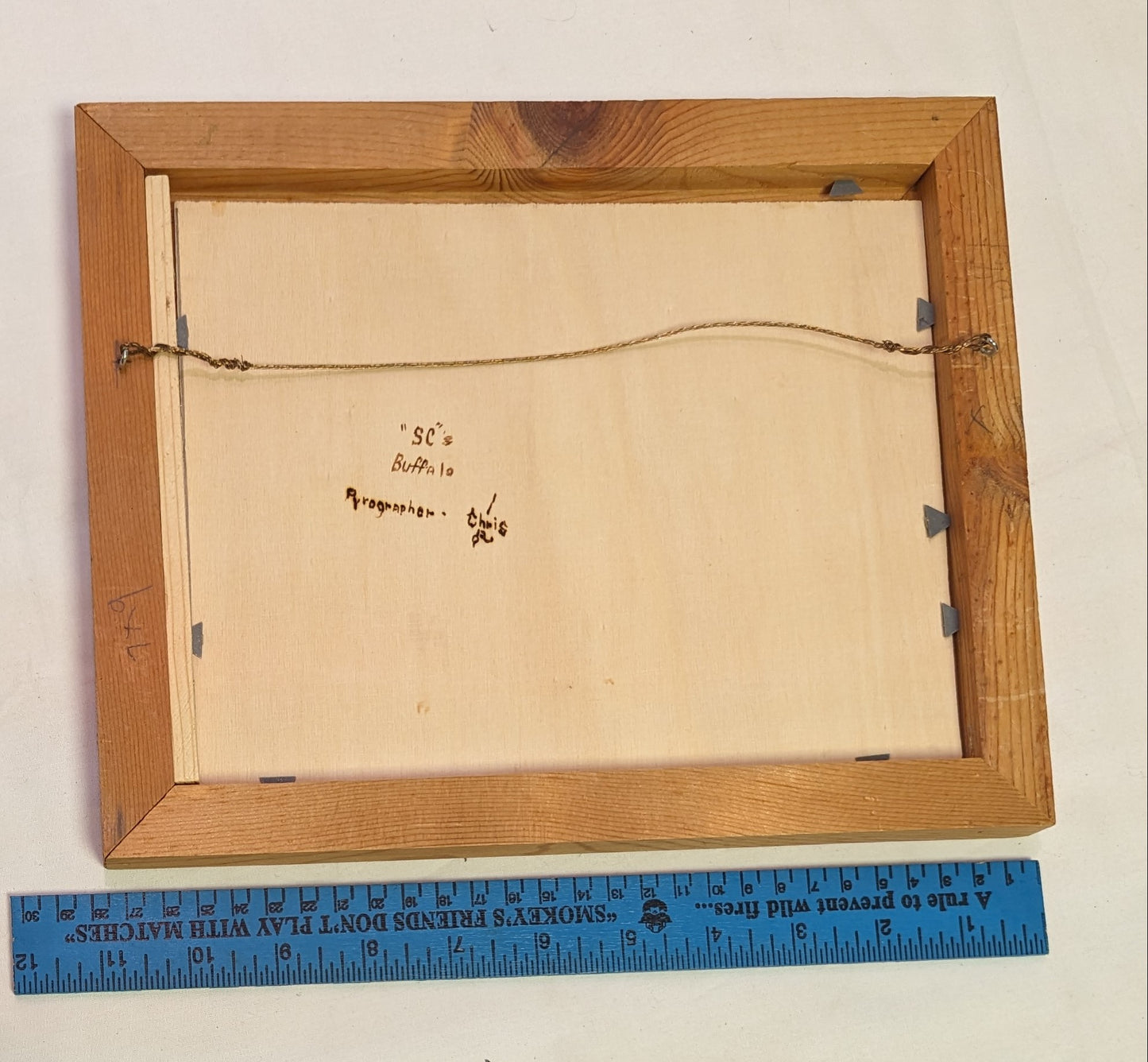 Art Pyrography on Wood Burned by hand Buffalo on Prairie in Frame