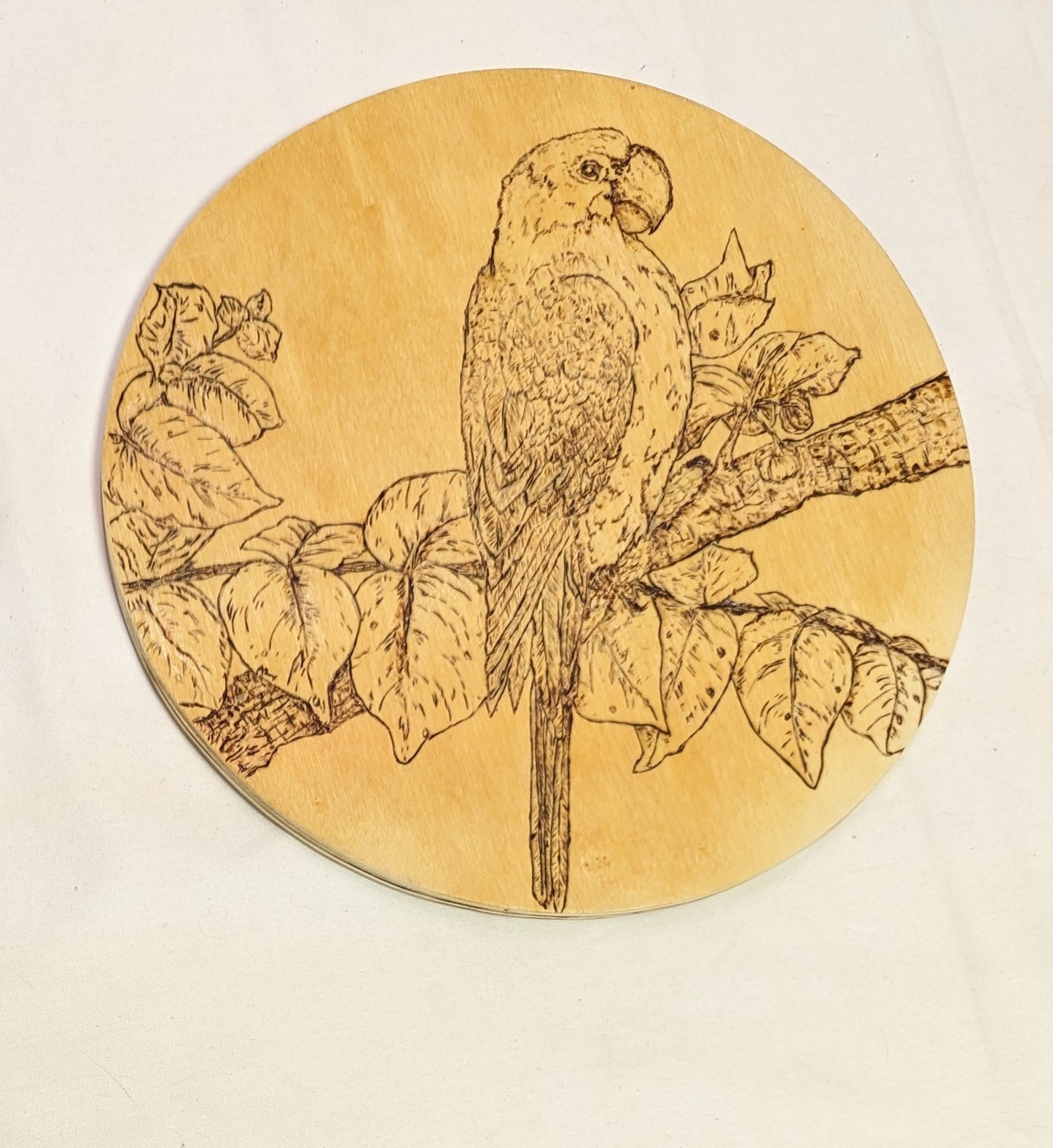 Art Pyrography "Macaw" on Round Wood with Credits Rare Bird.